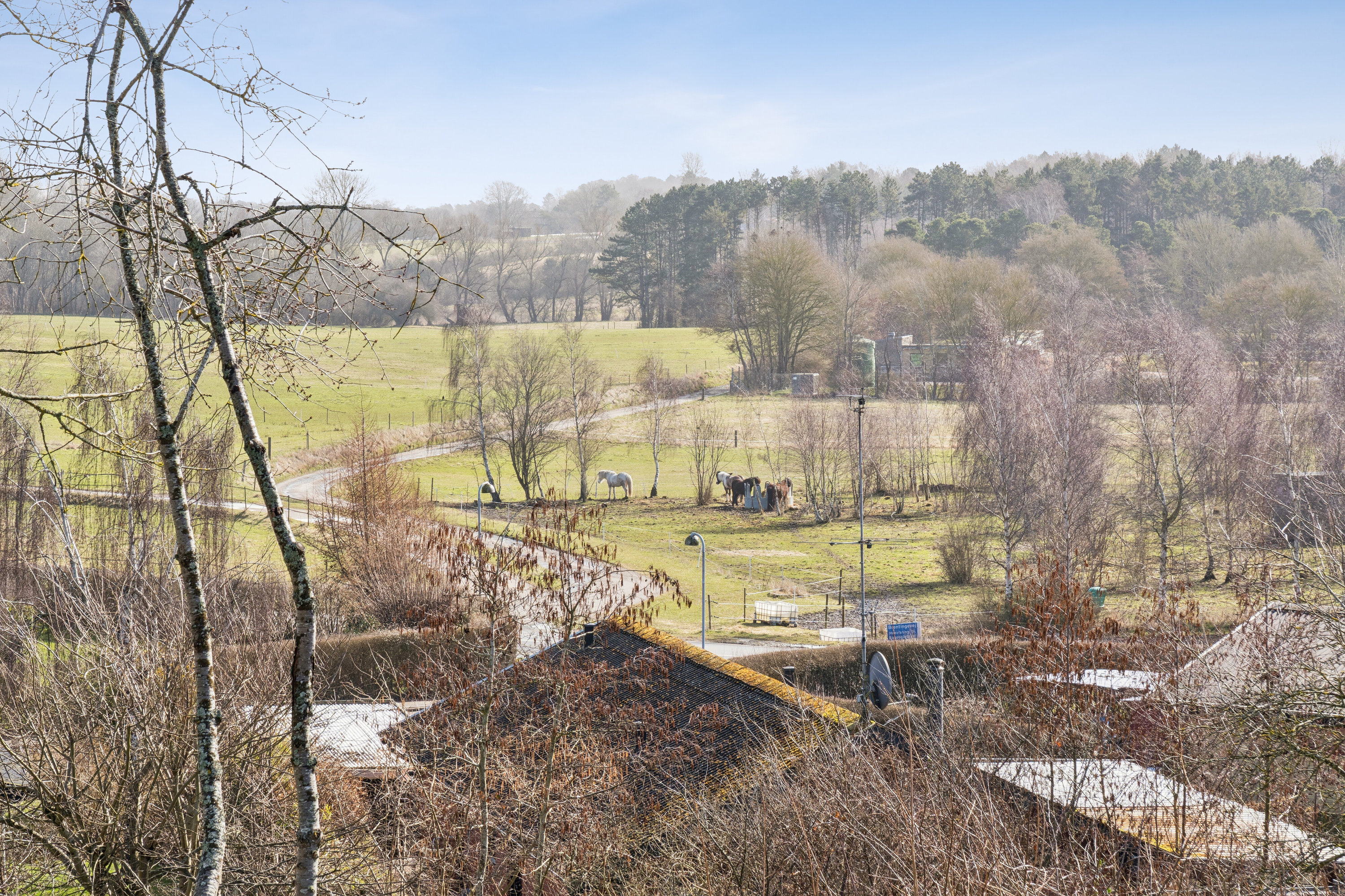 Fremhævet udendørs billede i fuldskærmstilstand. Billede af Skolelodden 28, 3220 Tisvildeleje