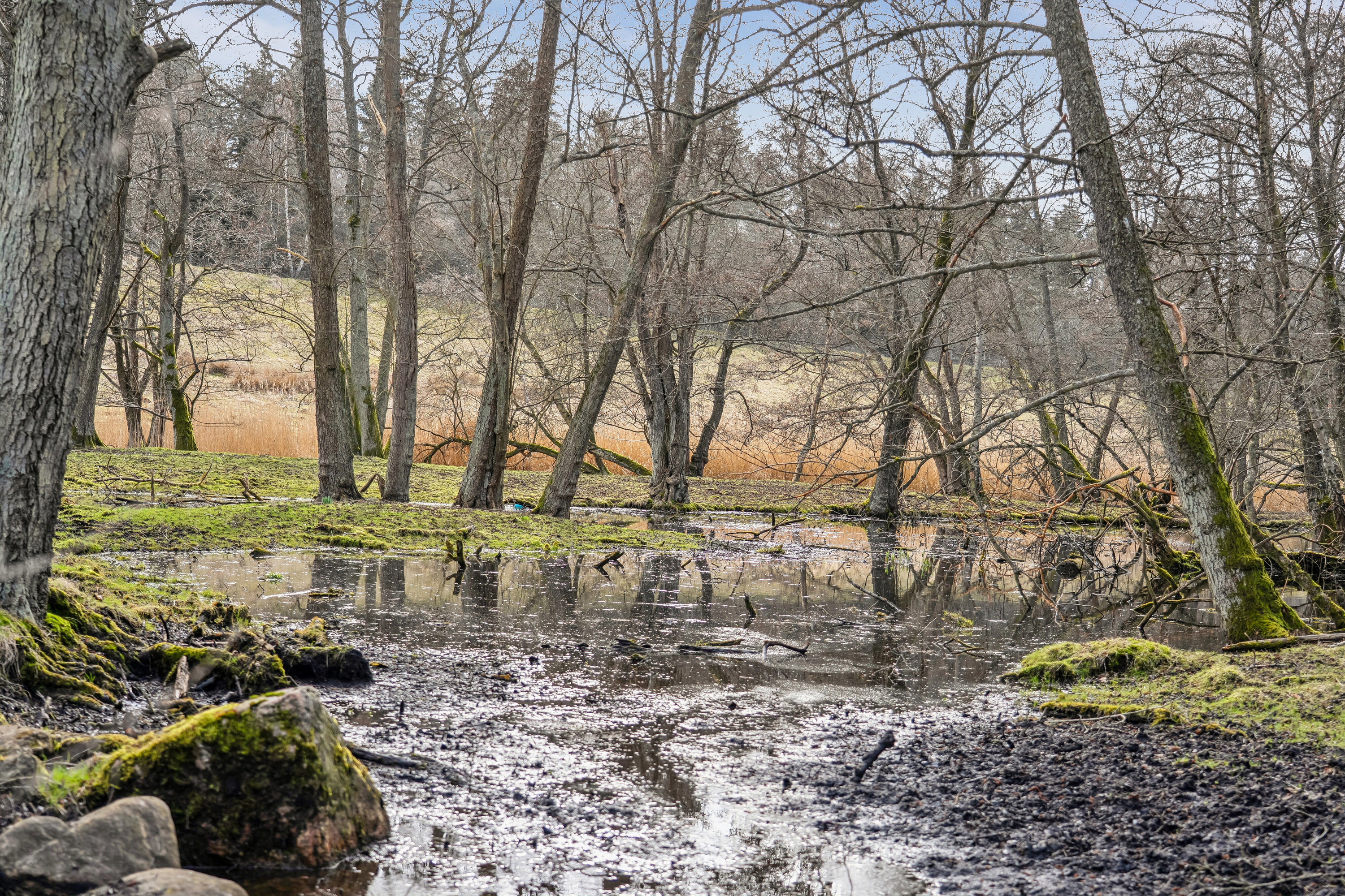 Fremhævet udendørs billede i fuldskærmstilstand. Billede af Gl Havreholmvej 18, 3100 Hornbæk