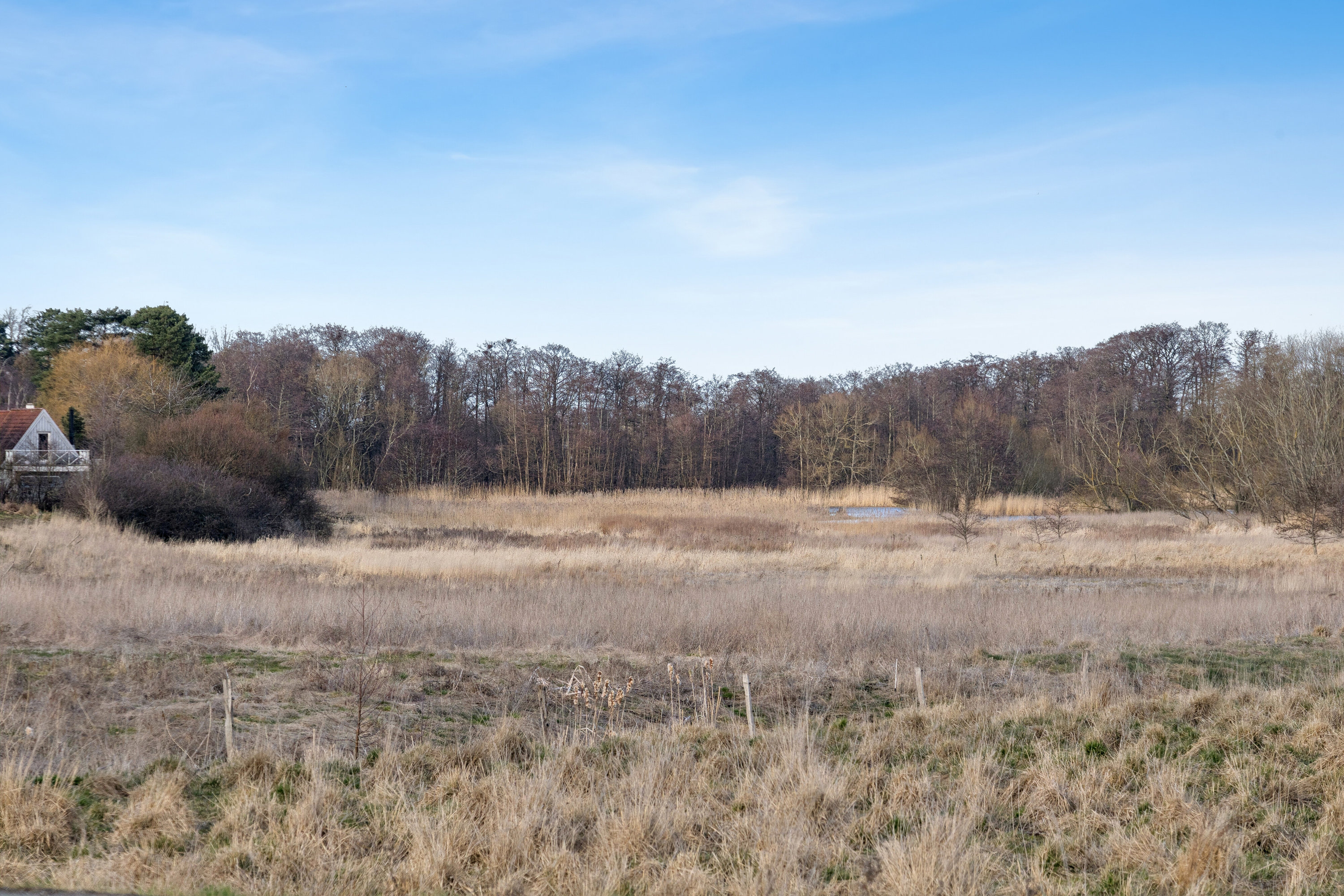 Fremhævet udendørs billede i fuldskærmstilstand. Billede af Gl Havreholmvej 18, 3100 Hornbæk