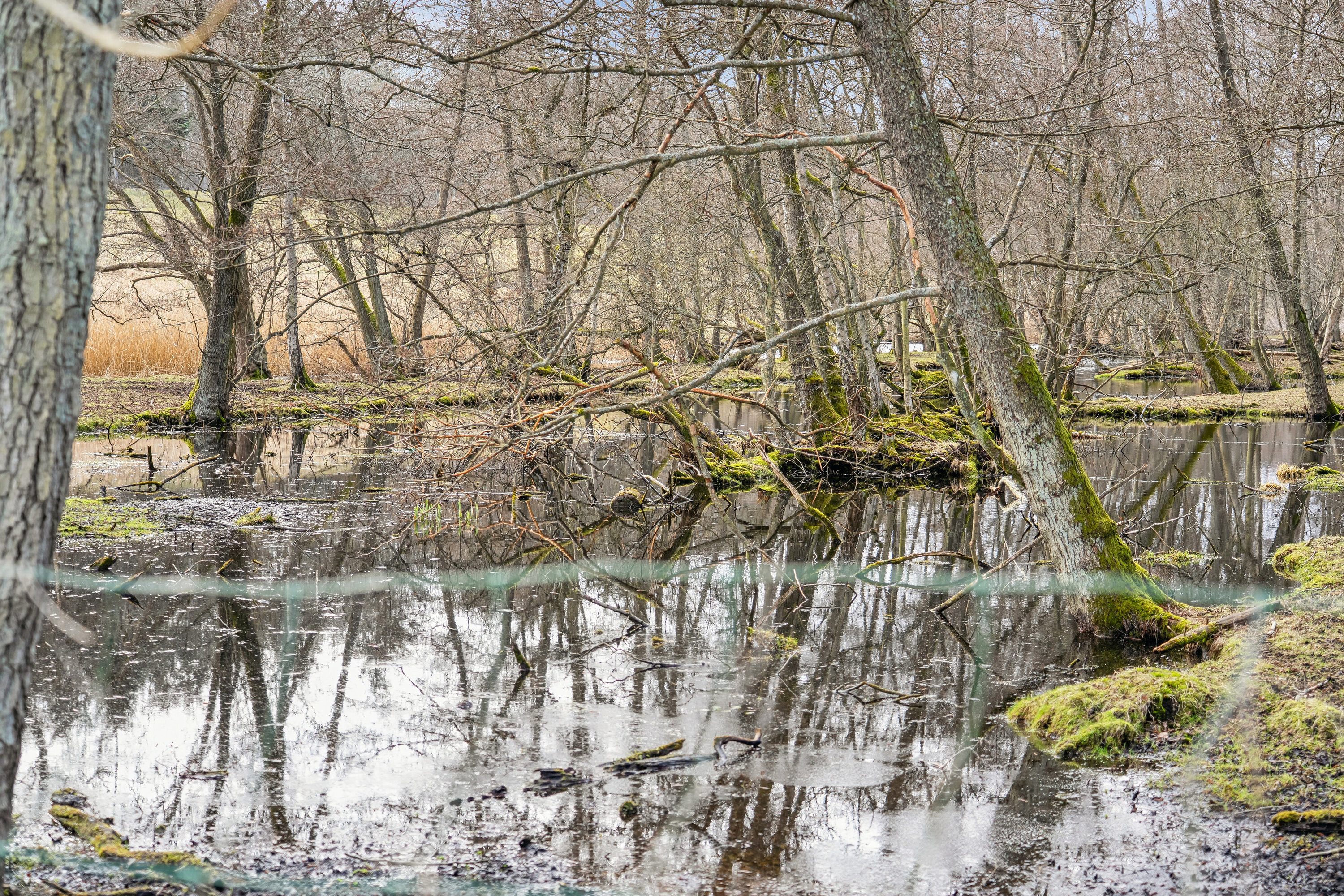 Fremhævet udendørs billede i fuldskærmstilstand. Billede af Gl Havreholmvej 18, 3100 Hornbæk