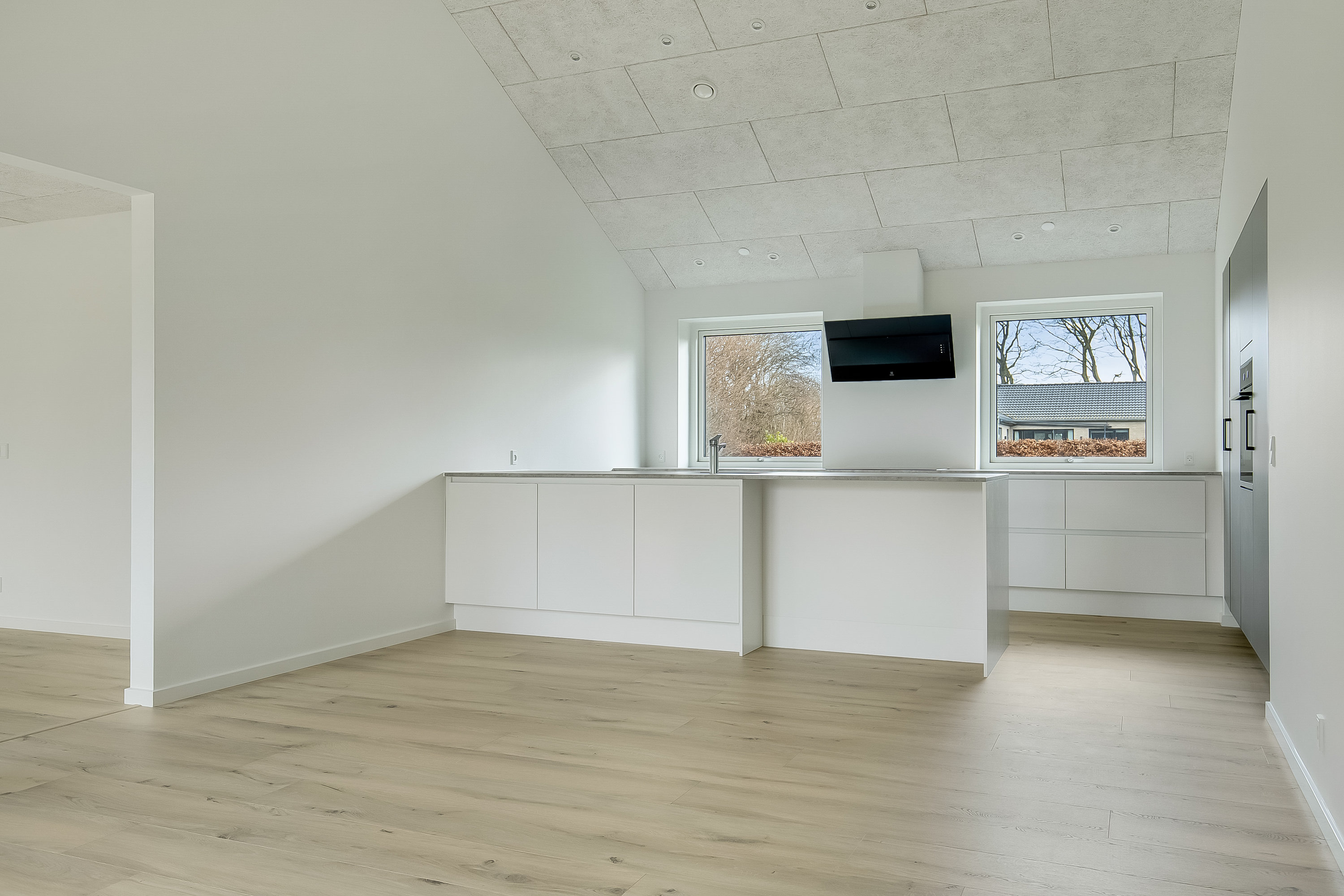 Fremhævet alrum billede i fuldskærmstilstand. Billede af Sydbanen 5, 6093 Sjølund