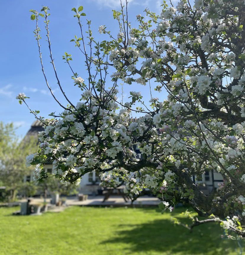 Fremhævet  billede i fuldskærmstilstand. Billede af Råhovedvej 30, 4672 Klippinge