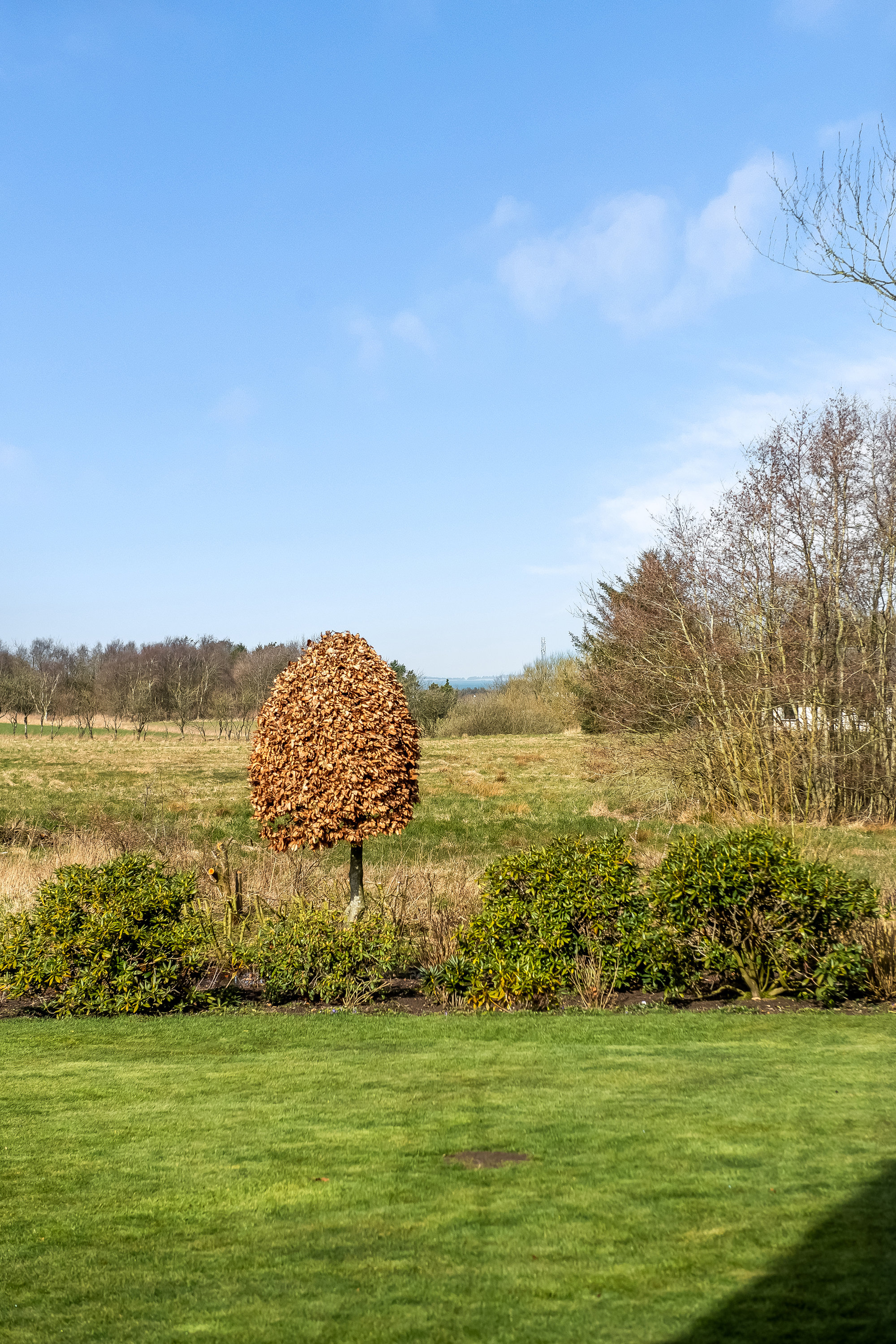 Fremhævet udsigt billede i fuldskærmstilstand. Billede af Vindelevvej 8, Bjert, 7830 Vinderup