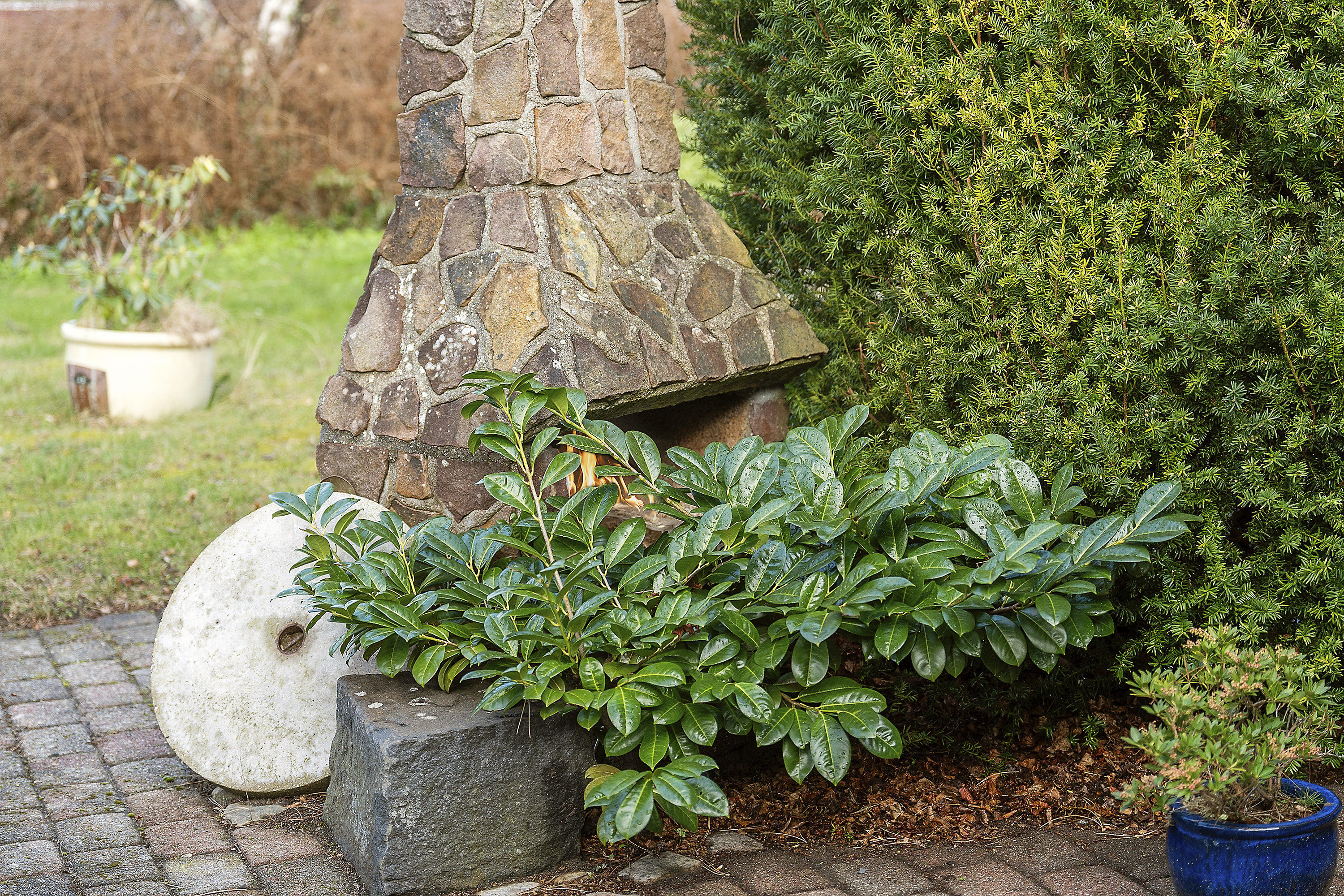 Fremhævet  billede i fuldskærmstilstand. Billede af Kragekær 4, Korsør Syd, 4220 Korsør