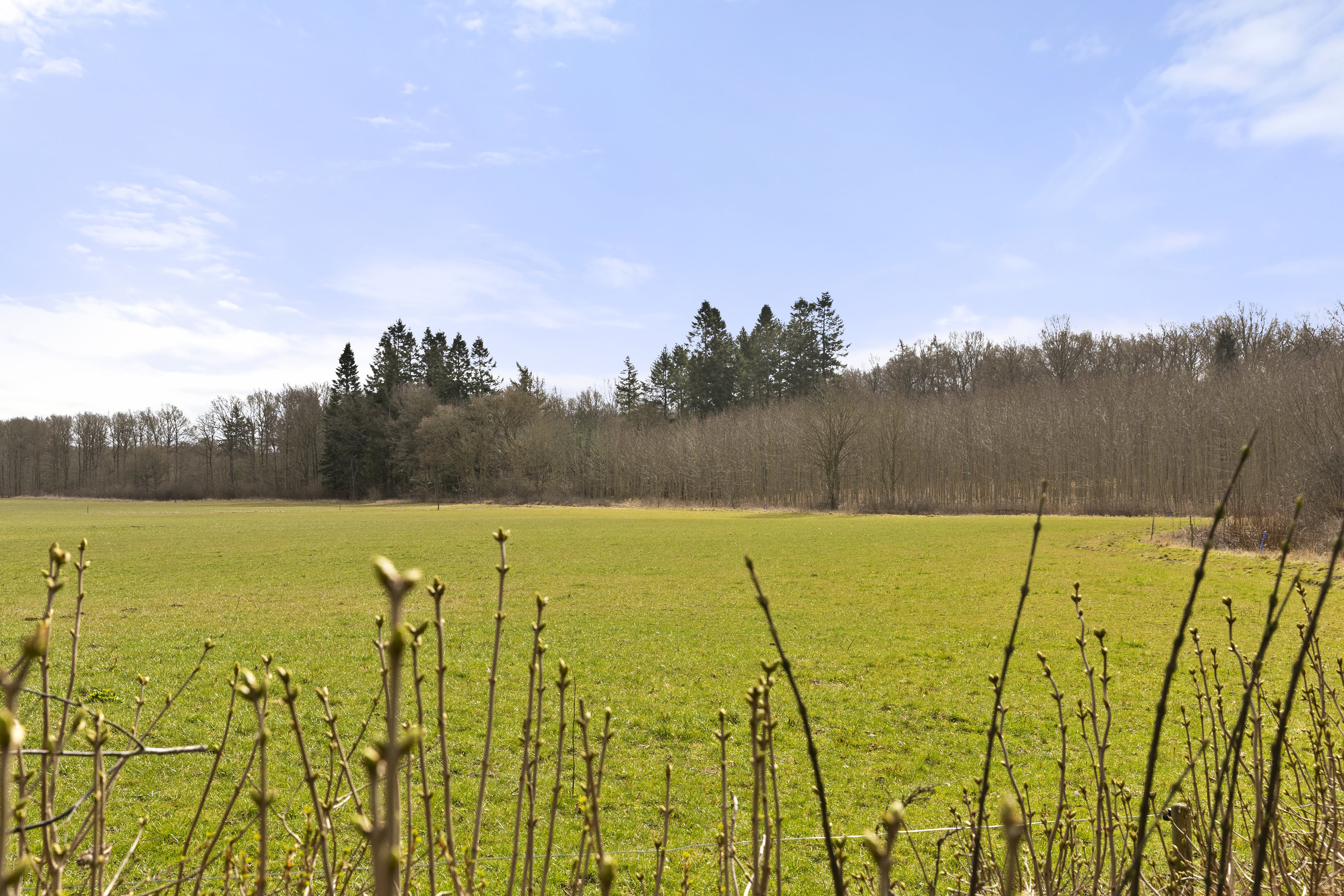 Fremhævet udsigt billede i fuldskærmstilstand. Billede af Dianalundvej 29, 4293 Dianalund