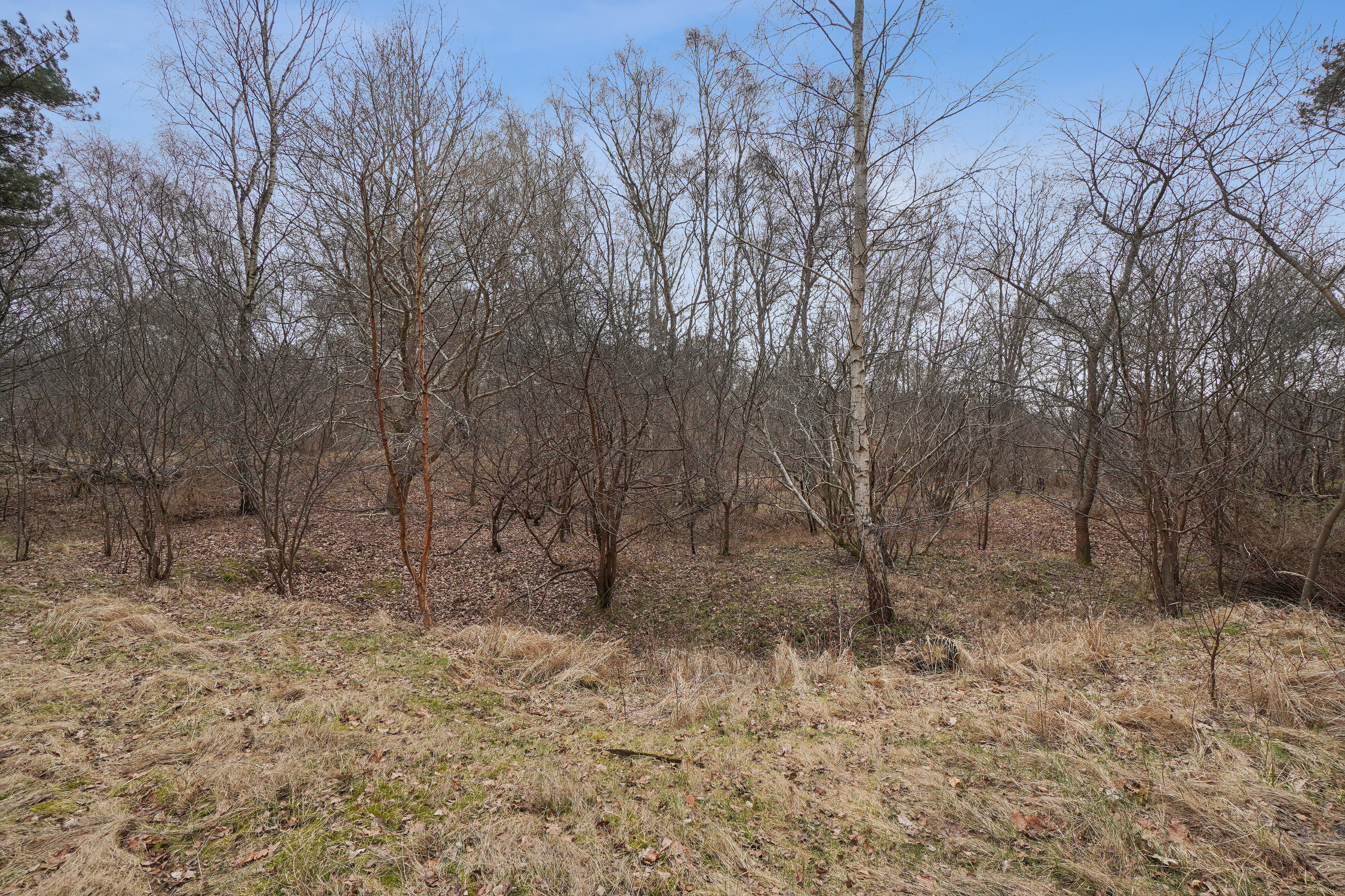 Fremhævet udendørs billede i fuldskærmstilstand. Billede af Vesterledsvej 13, Asserbo, 3300 Frederiksværk