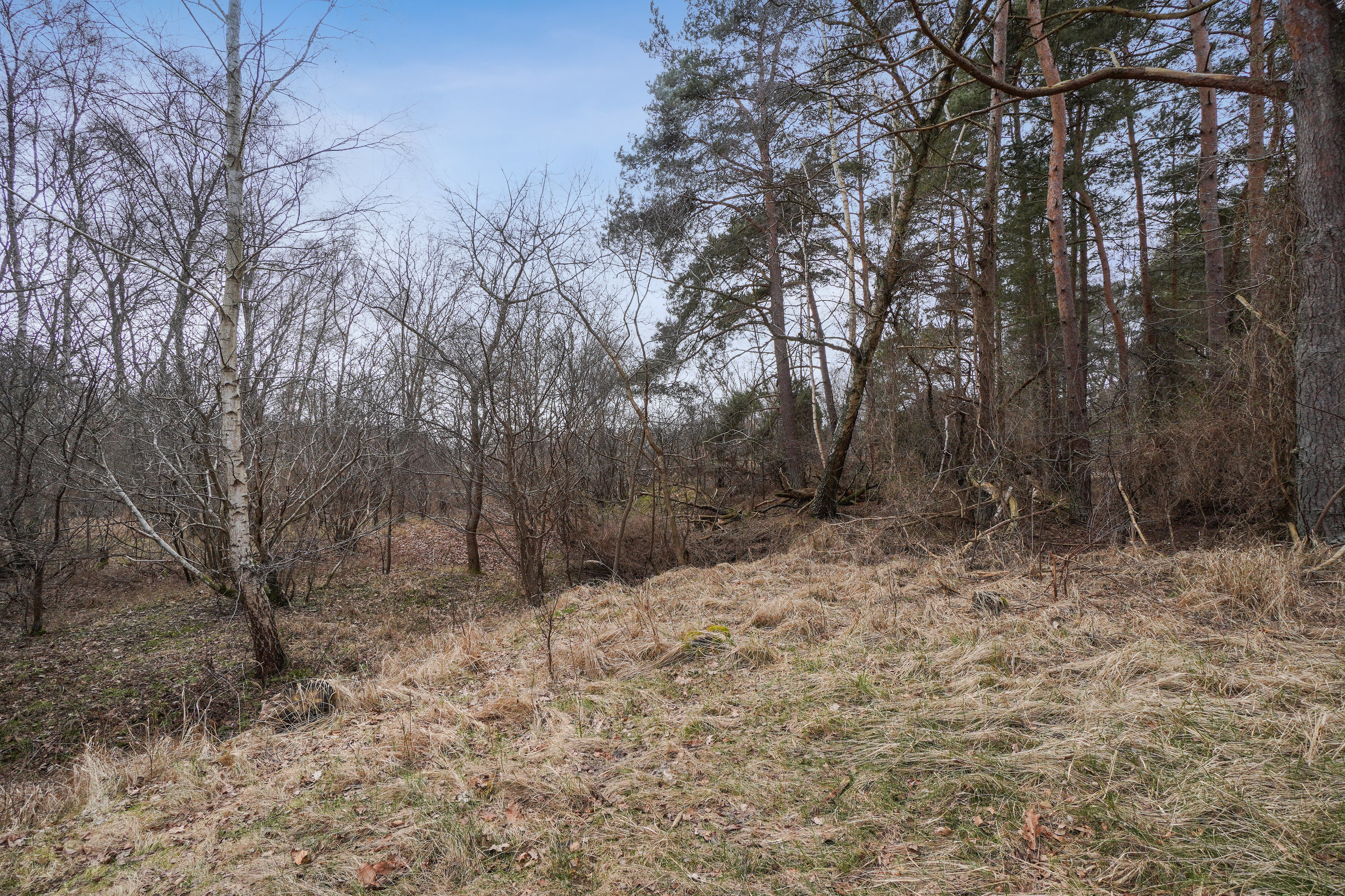 Fremhævet udendørs billede i fuldskærmstilstand. Billede af Vesterledsvej 13, Asserbo, 3300 Frederiksværk