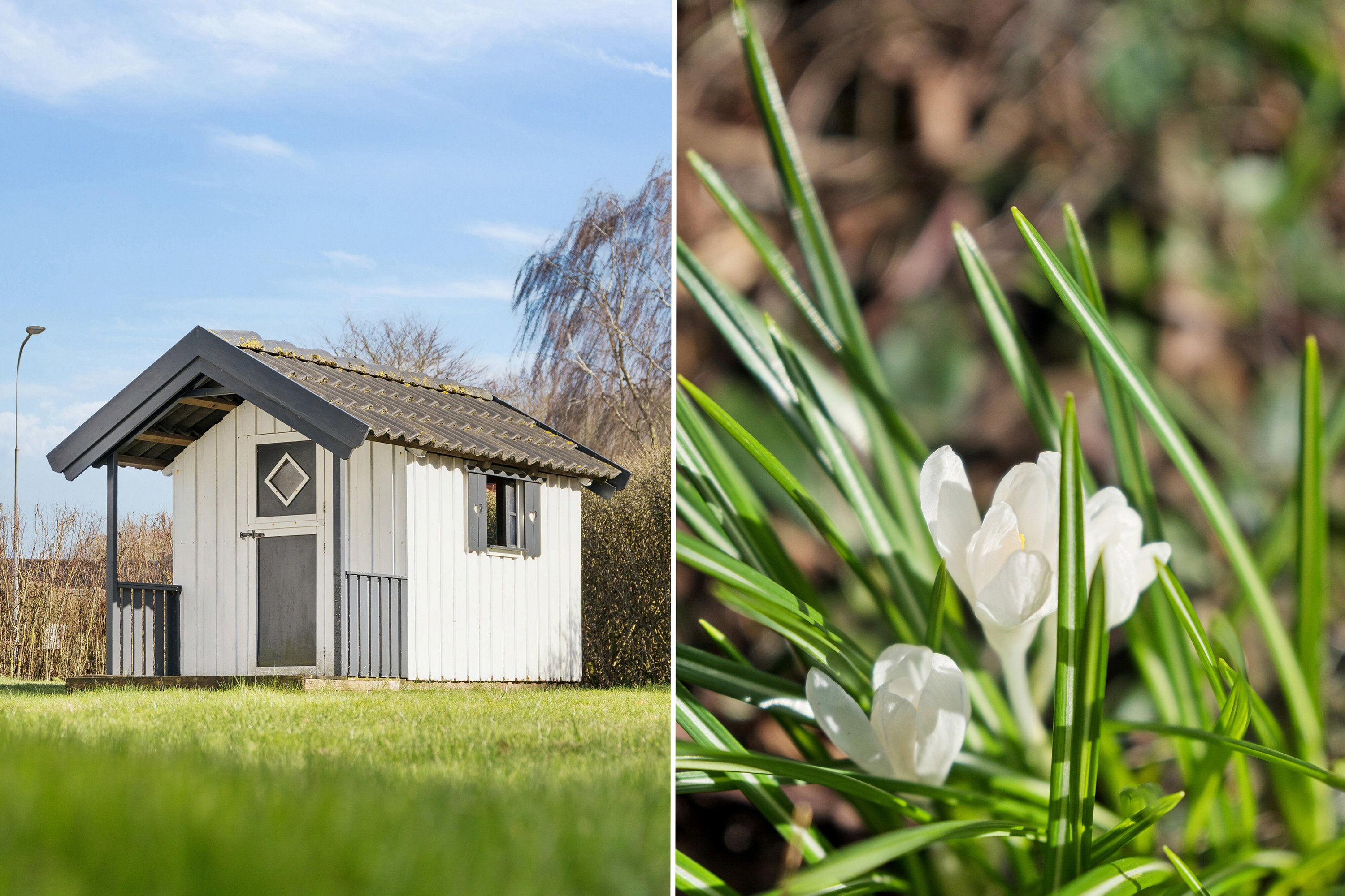 Fremhævet set fra haven billede i fuldskærmstilstand. Billede af Dalsøvej 24, 7200 Grindsted