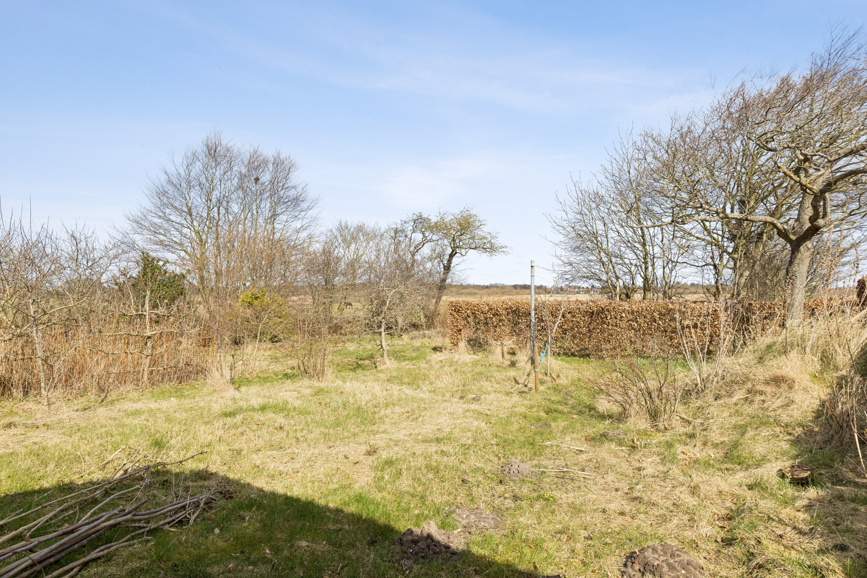 Fremhævet have billede i fuldskærmstilstand. Billede af Haderslevvej 67, 6760 Ribe