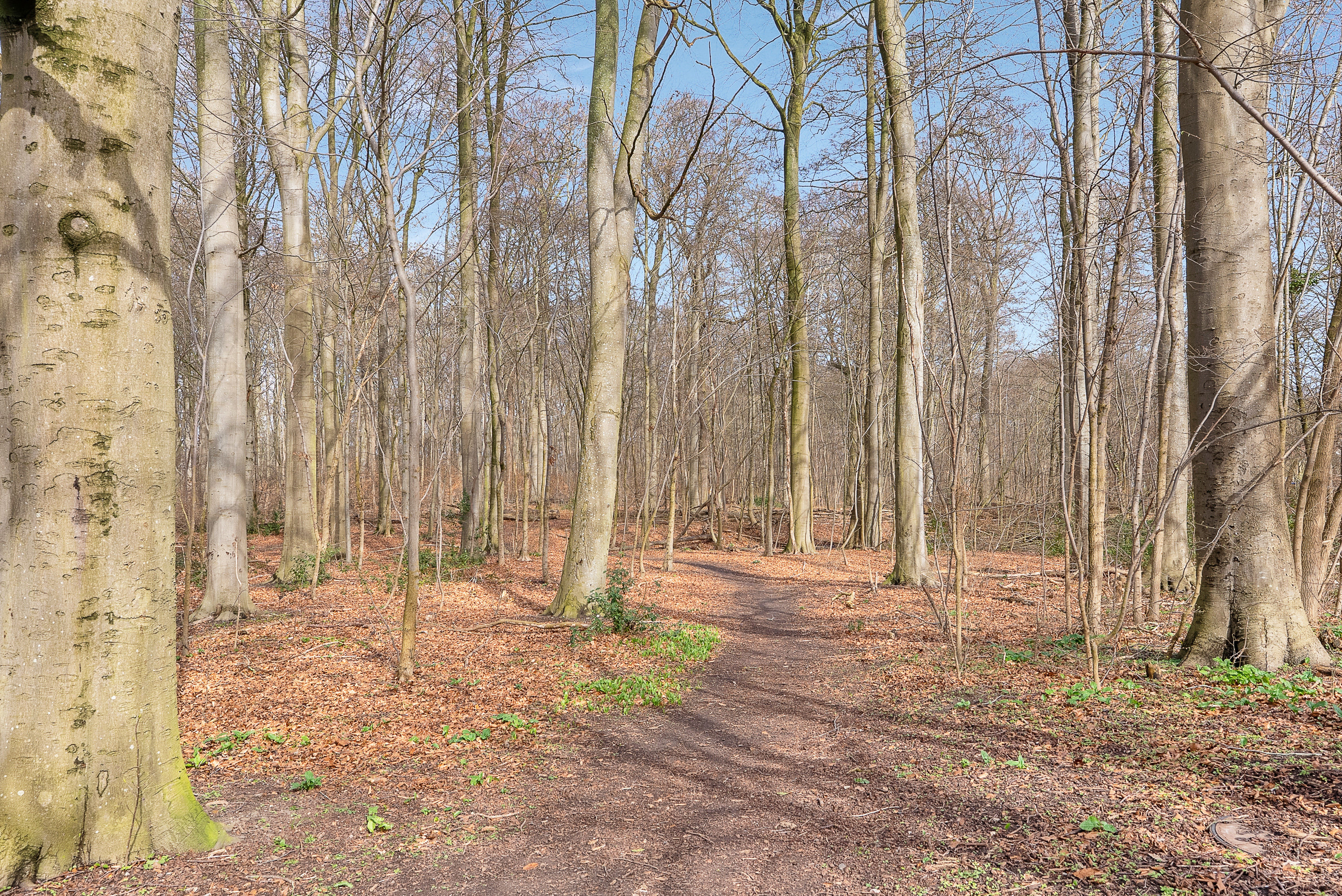 Fremhævet facade billede i fuldskærmstilstand. Billede af Dronning Olgas Vej 28, 5000 Odense C