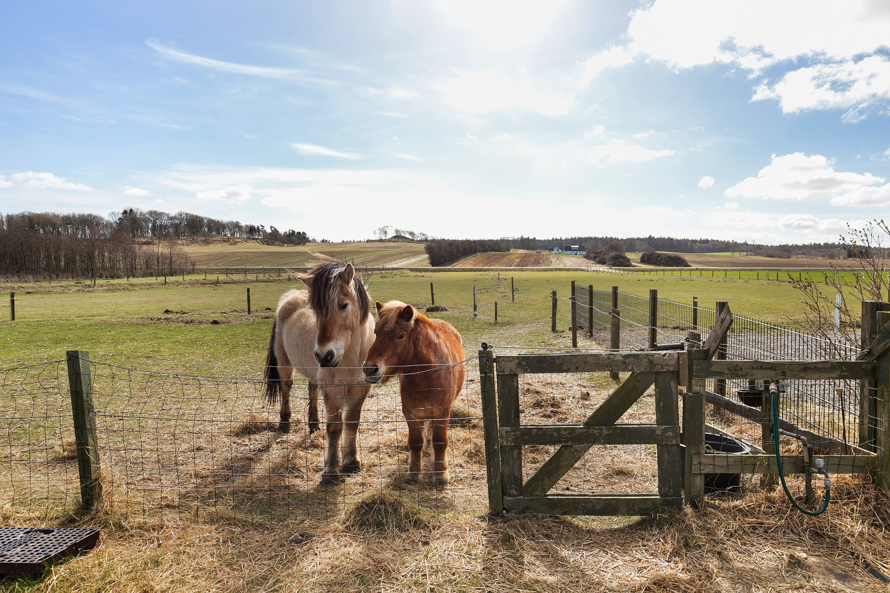 Gunderupvej 32, Tandrup, 9640 Farsø