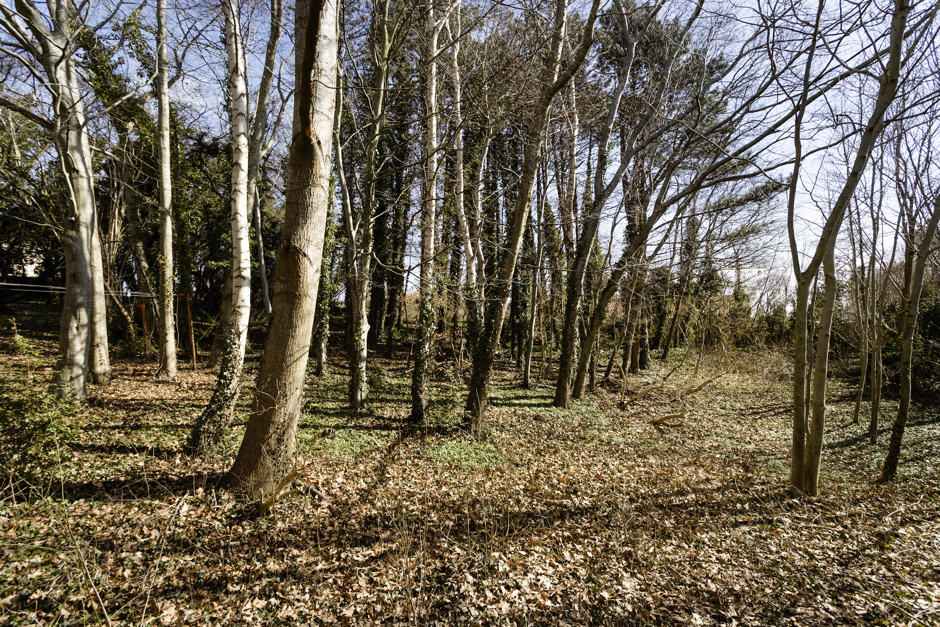 Fremhævet  billede i fuldskærmstilstand. Billede af Møllebæk 74, Haldrup, 8700 Horsens
