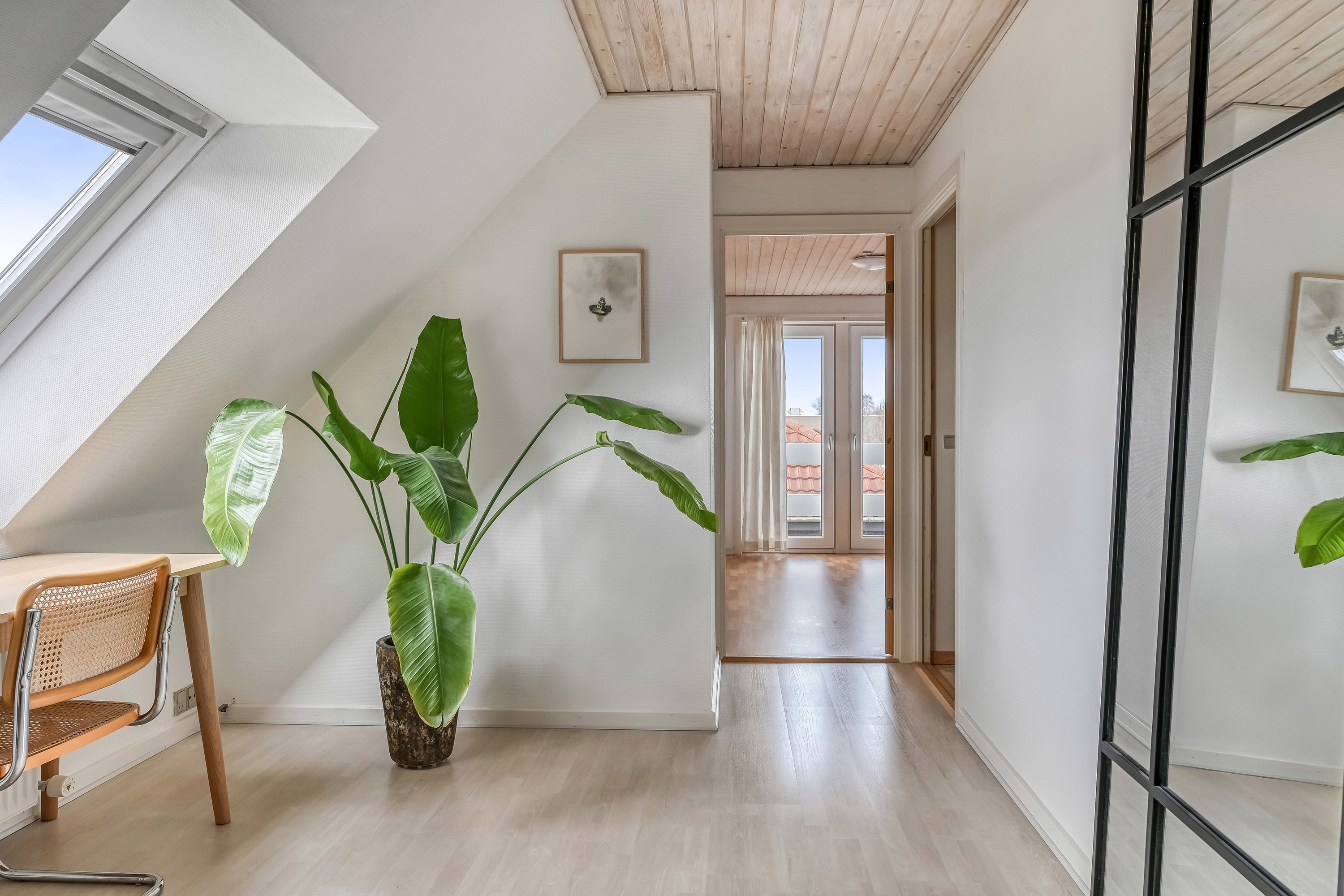 Fremhævet andet billede i fuldskærmstilstand. Billede af Blomsterparken 3H, 6710 Esbjerg V