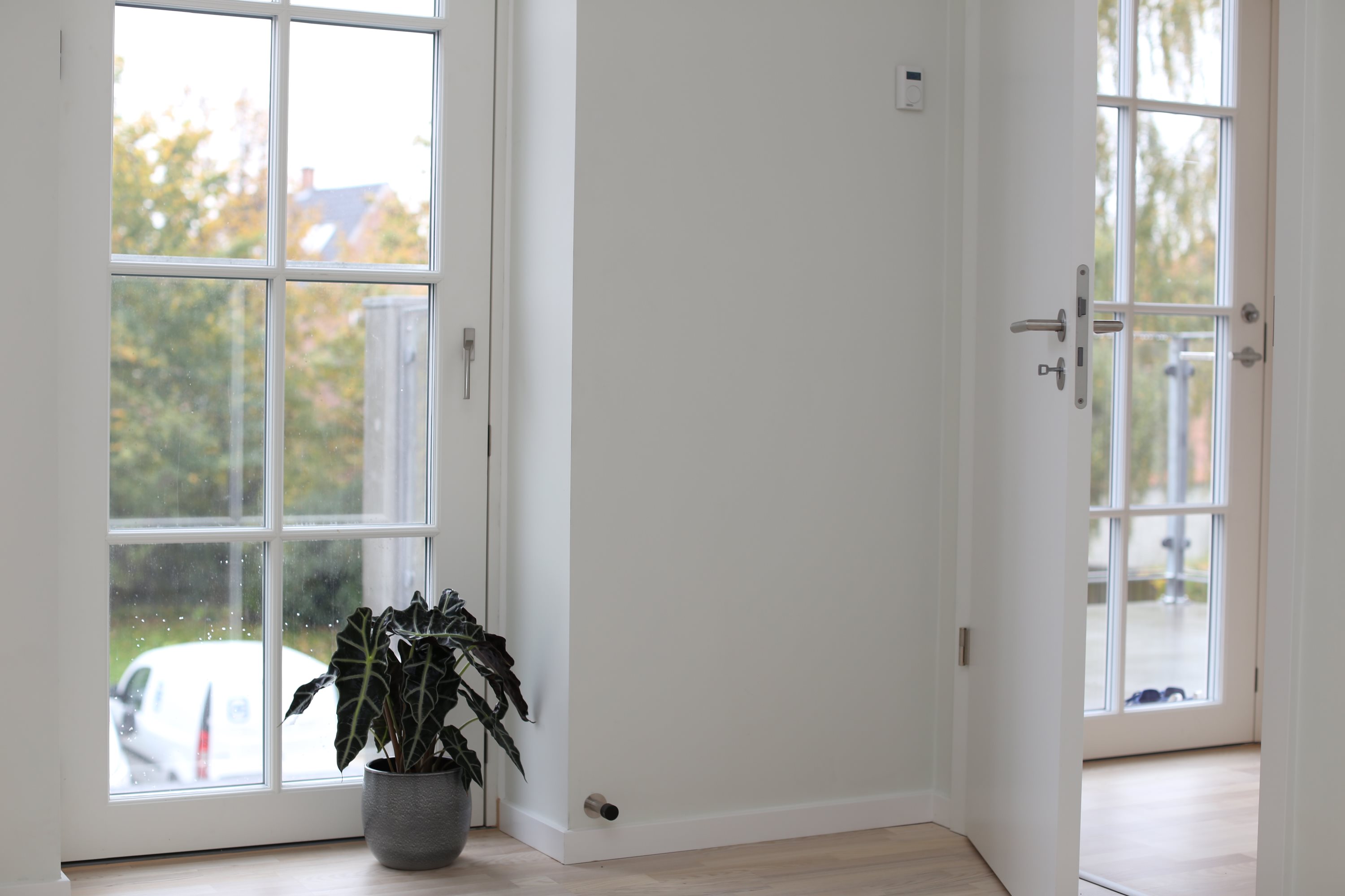 Fremhævet andet billede i fuldskærmstilstand. Billede af Kochsgade 51, 1. 2., 5000 Odense C