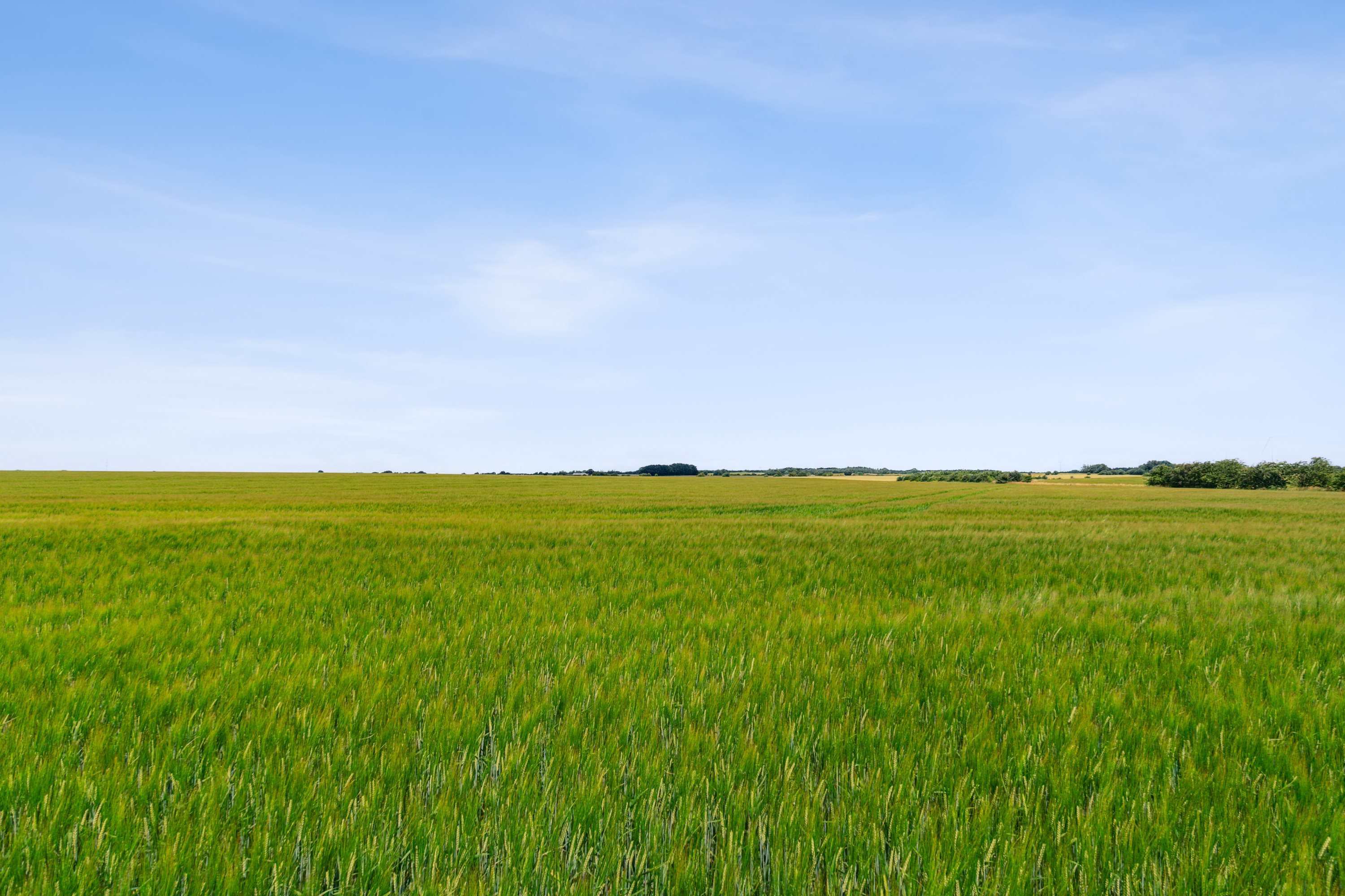 Fremhævet  billede i fuldskærmstilstand. Billede af Dyssehøjvej 19, Jennum, 8981 Spentrup