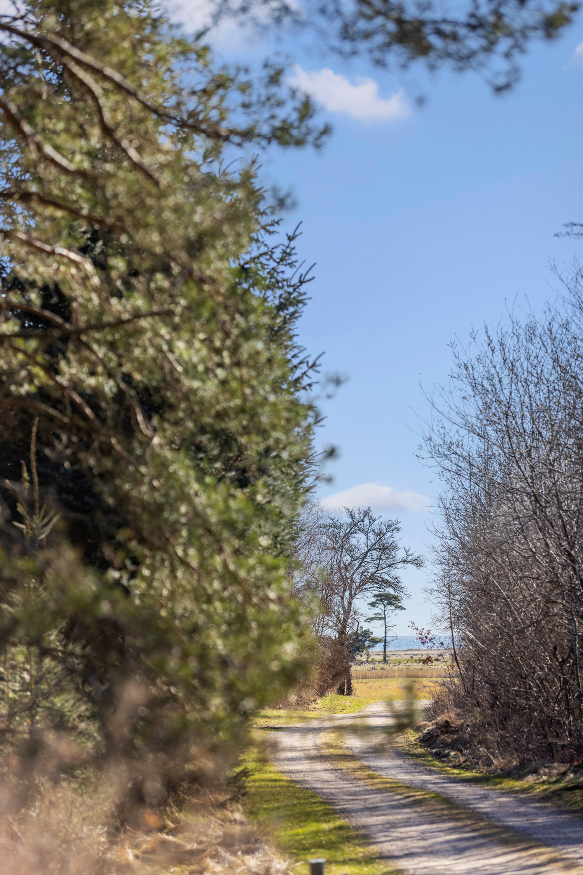 Fremhævet område billede i fuldskærmstilstand. Billede af Lynglund 5, Lyngså, 9300 Sæby