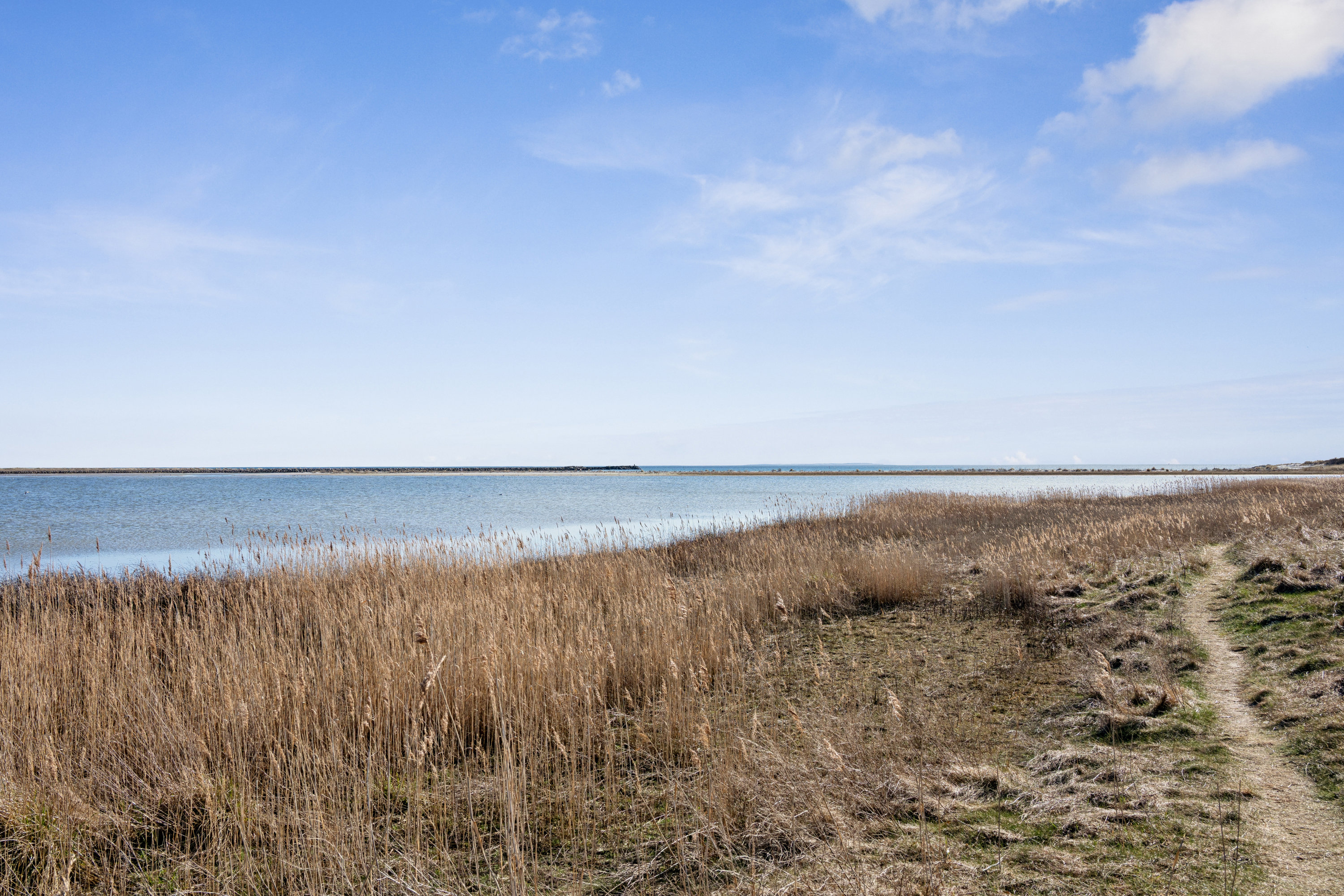 Fremhævet området billede i fuldskærmstilstand. Billede af Brunkløvervej 14, Øer Strand, 8400 Ebeltoft