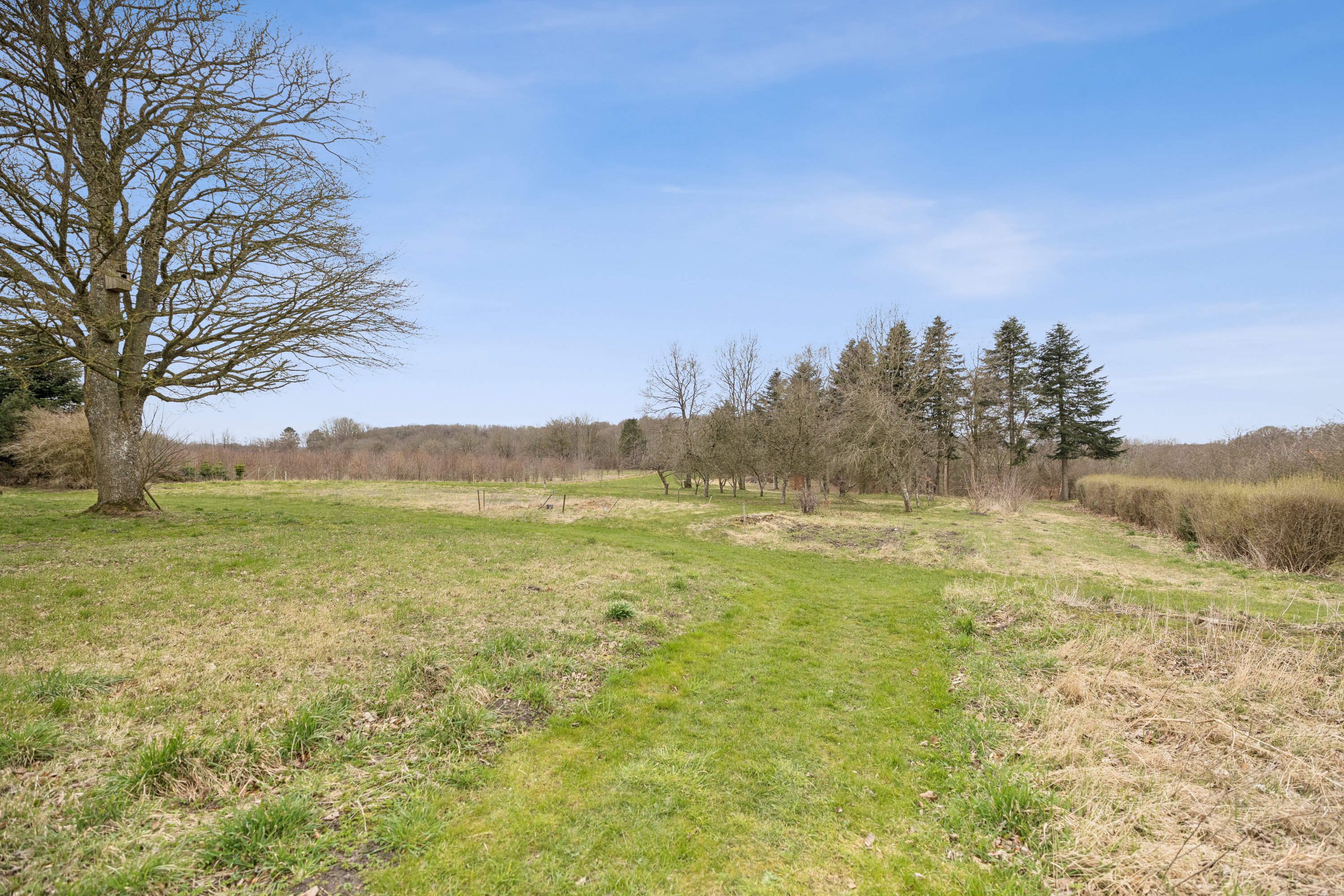 Fremhævet eng billede i fuldskærmstilstand. Billede af Frisdalsvej 16, Valsgård, 9500 Hobro