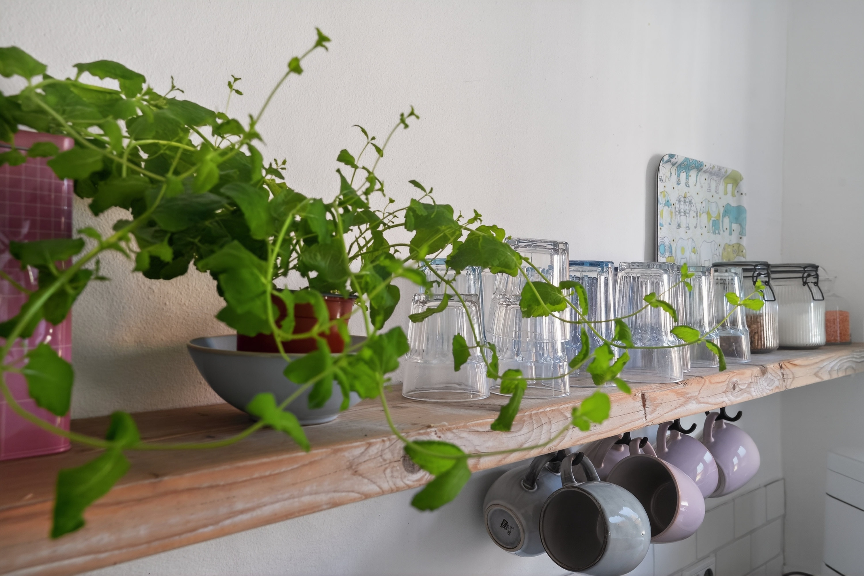 Fremhævet køkken billede i fuldskærmstilstand. Billede af Dr Schadsvej 11, 4500 Nykøbing Sj