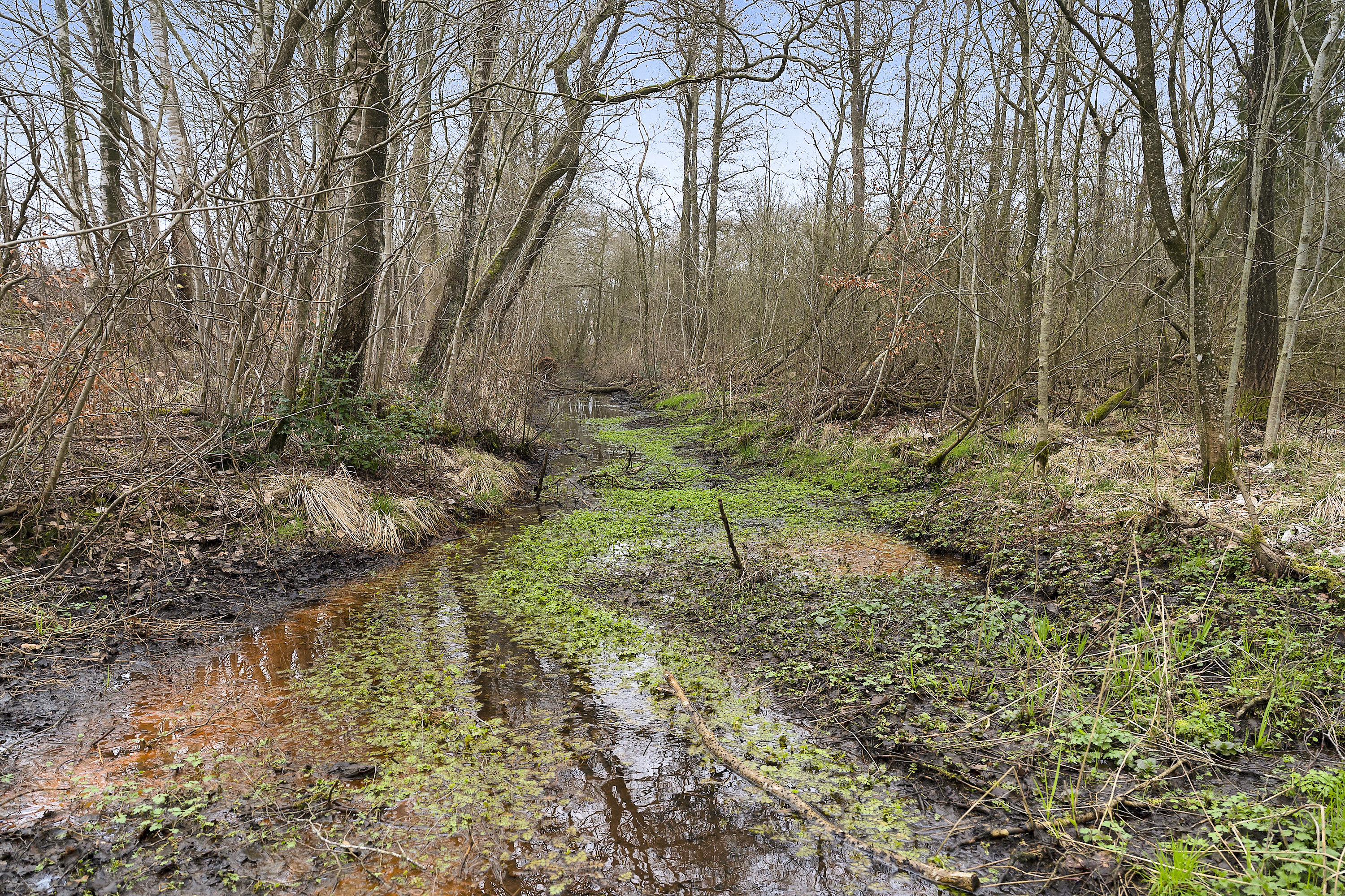 Fremhævet område billede i fuldskærmstilstand. Billede af Holmeåvænget 23, 6682 Hovborg