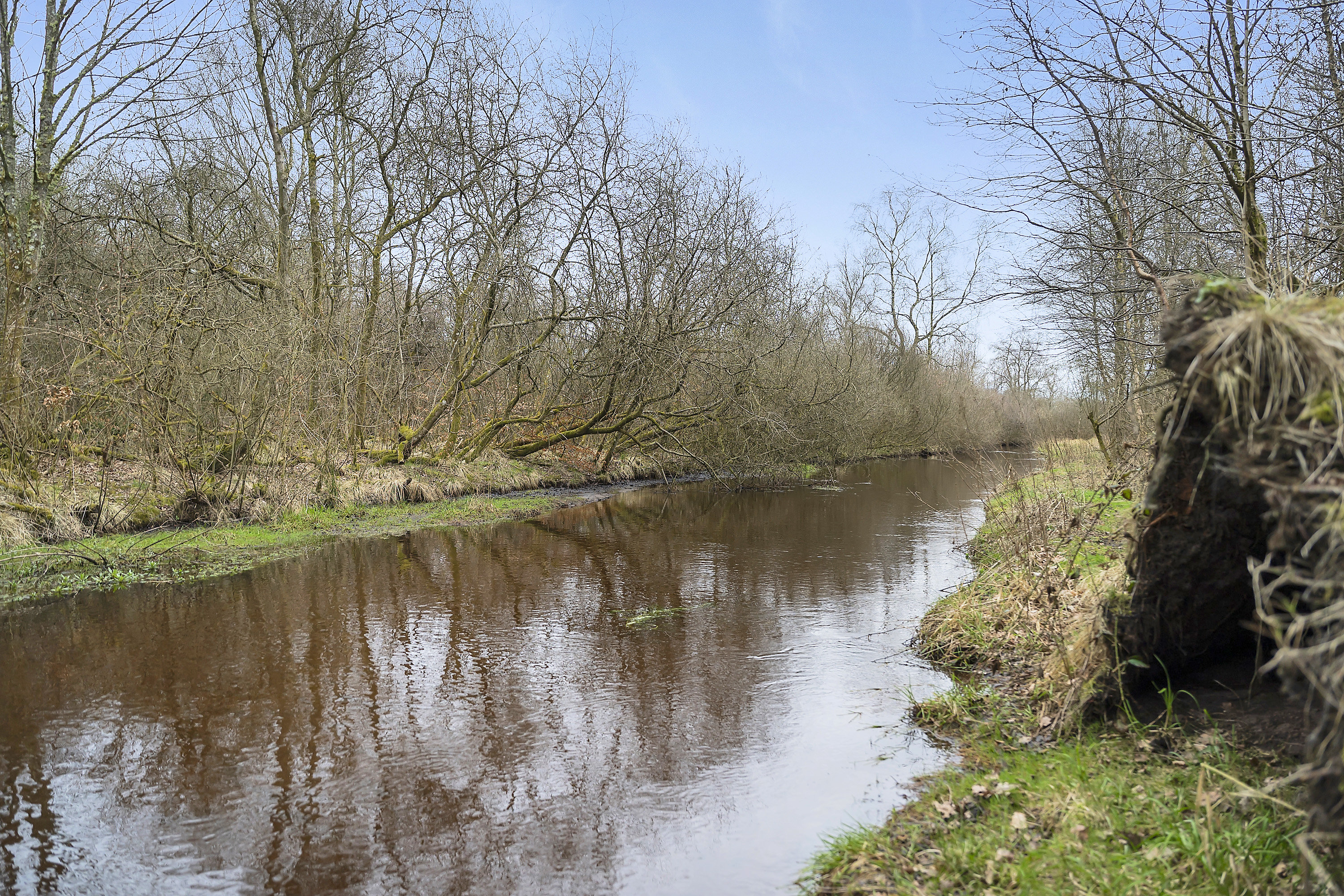 Fremhævet område billede i fuldskærmstilstand. Billede af Holmeåvænget 23, 6682 Hovborg