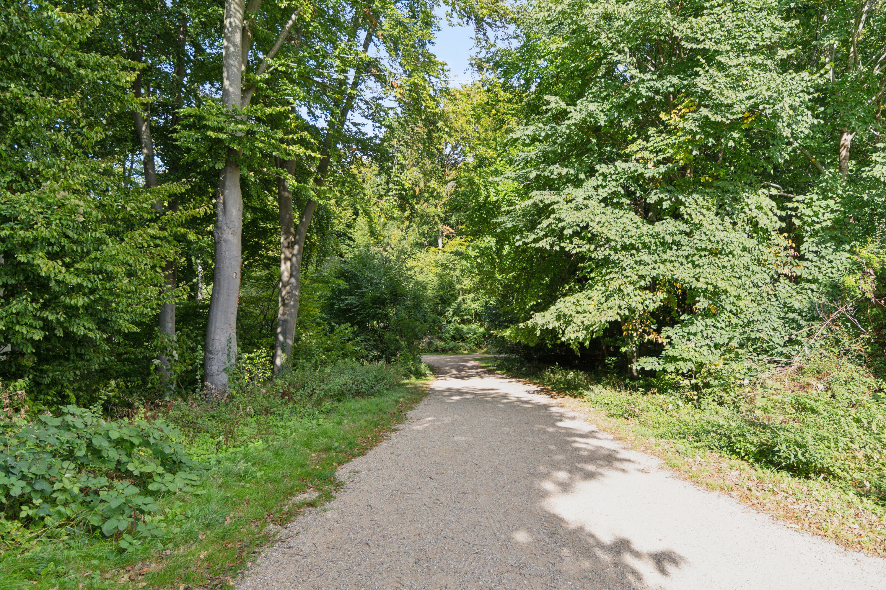 Fremhævet  billede i fuldskærmstilstand. Billede af Rugårdsvej 57, 1., 5000 Odense C