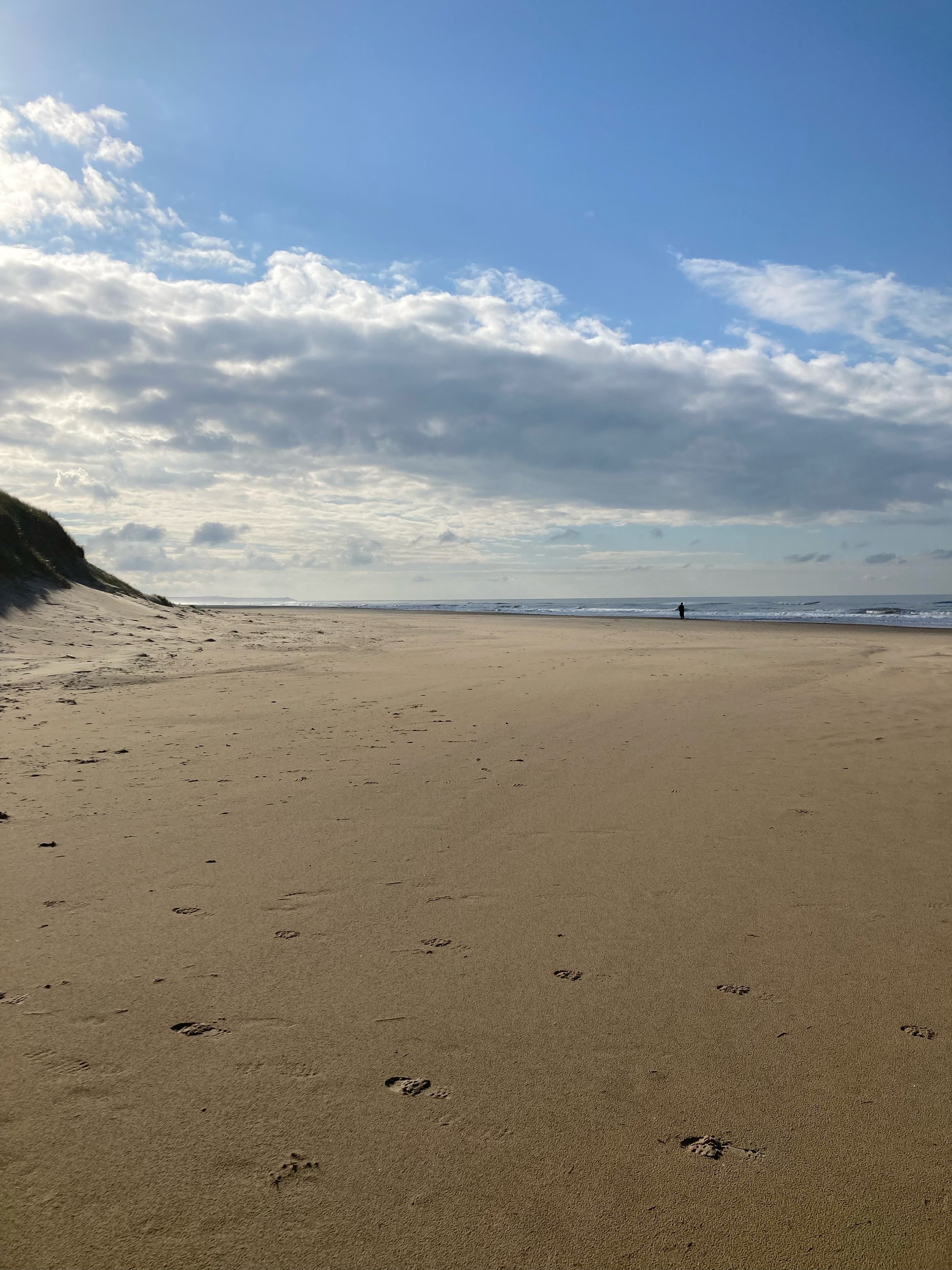 Fremhævet strand billede i fuldskærmstilstand. Billede af Ingeborghusvej 4, Tornby, 9850 Hirtshals