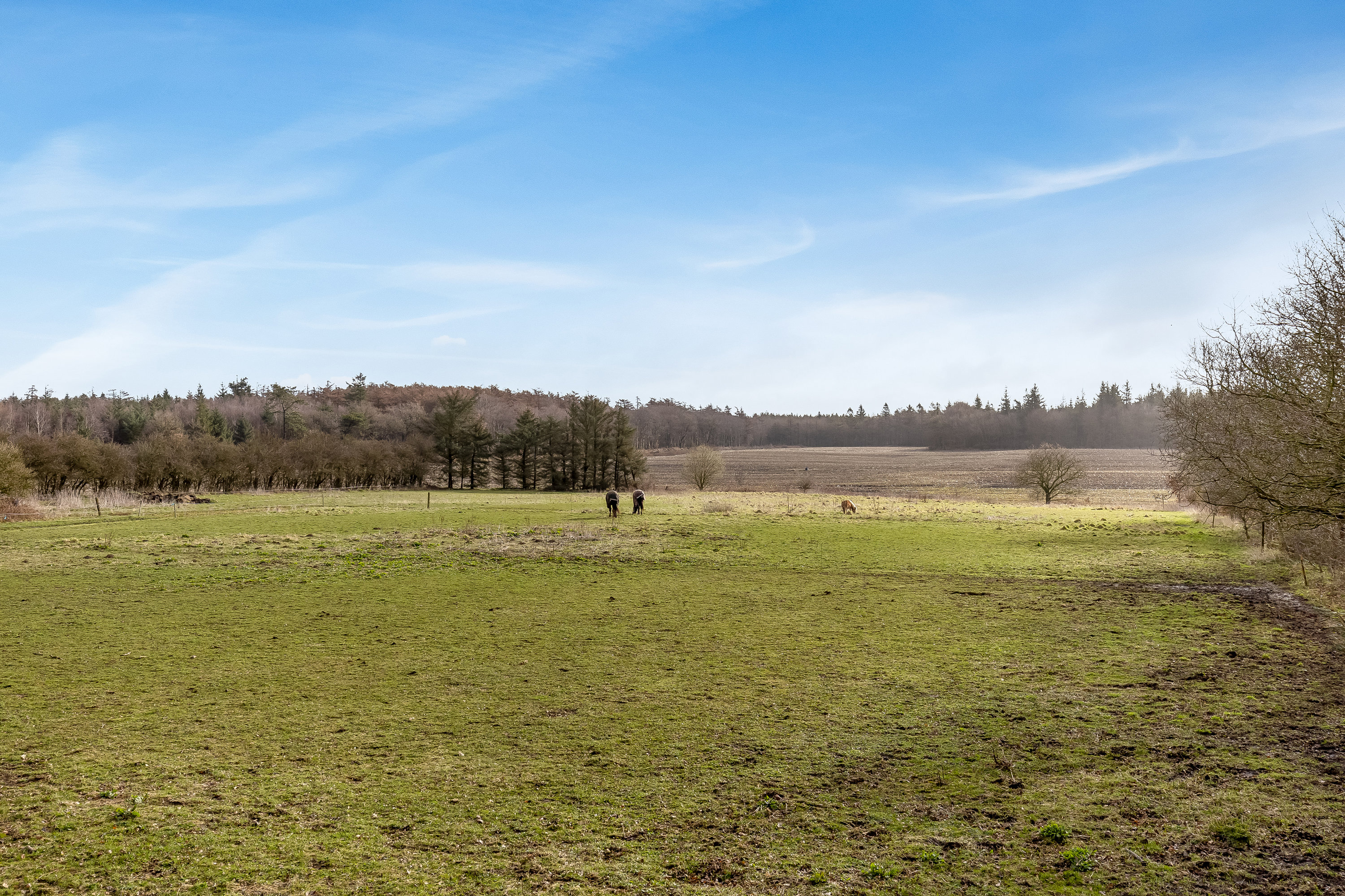 Fremhævet udsigt billede i fuldskærmstilstand. Billede af Povlskrovej 45, Overby, 6780 Skærbæk