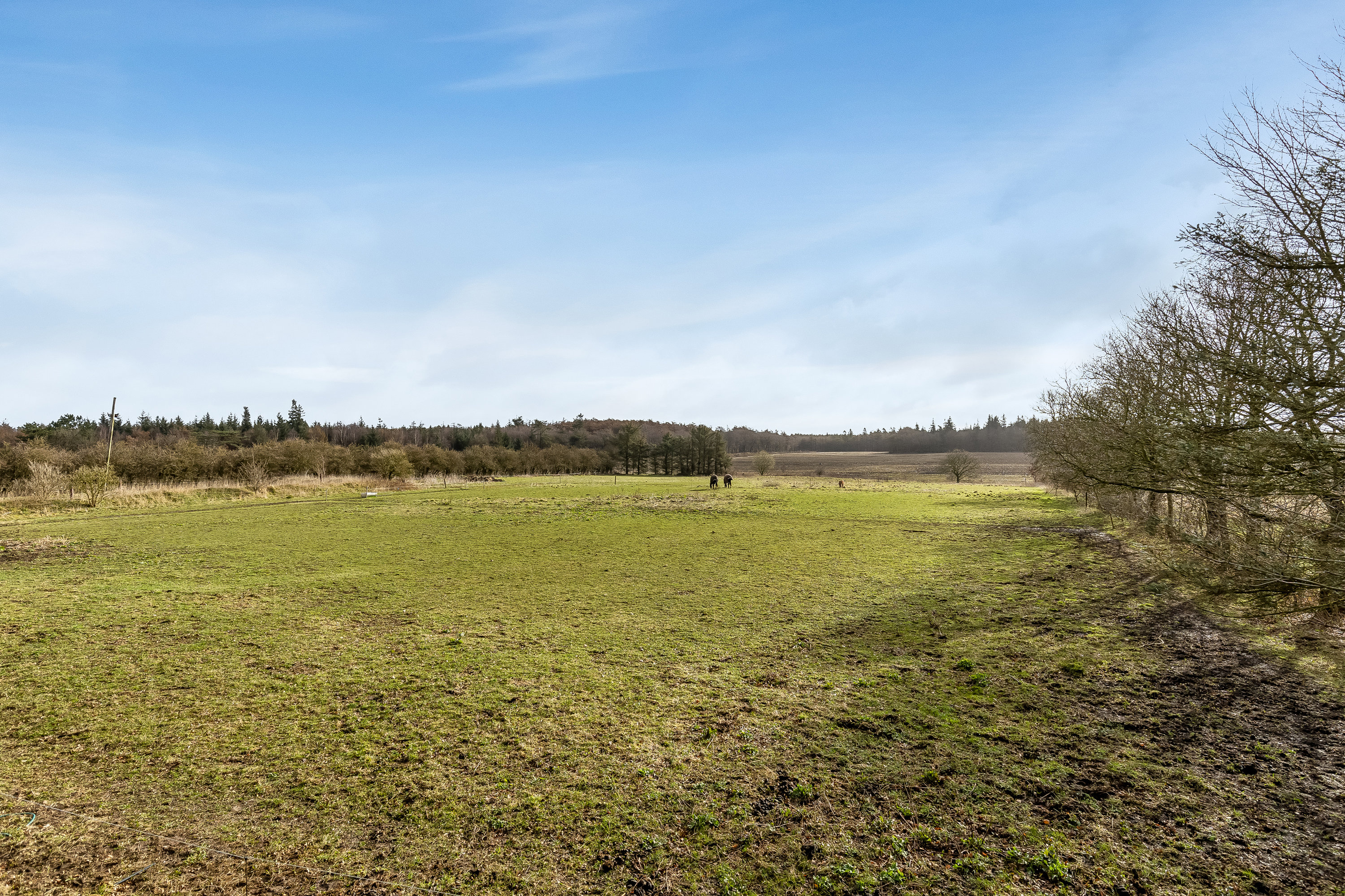Fremhævet udsigt billede i fuldskærmstilstand. Billede af Povlskrovej 45, Overby, 6780 Skærbæk