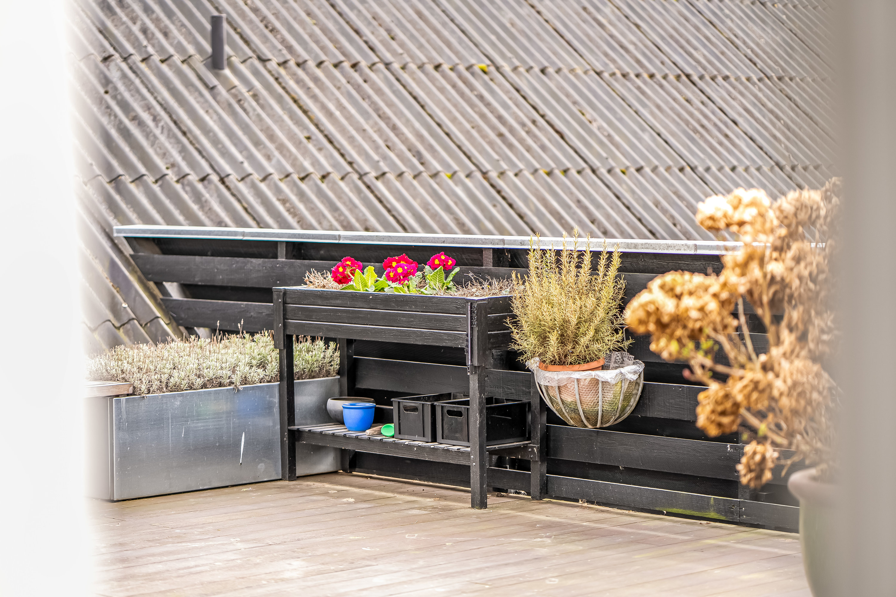 Fremhævet  billede i fuldskærmstilstand. Billede af Slotsgade 29, 1. th., 3400 Hillerød