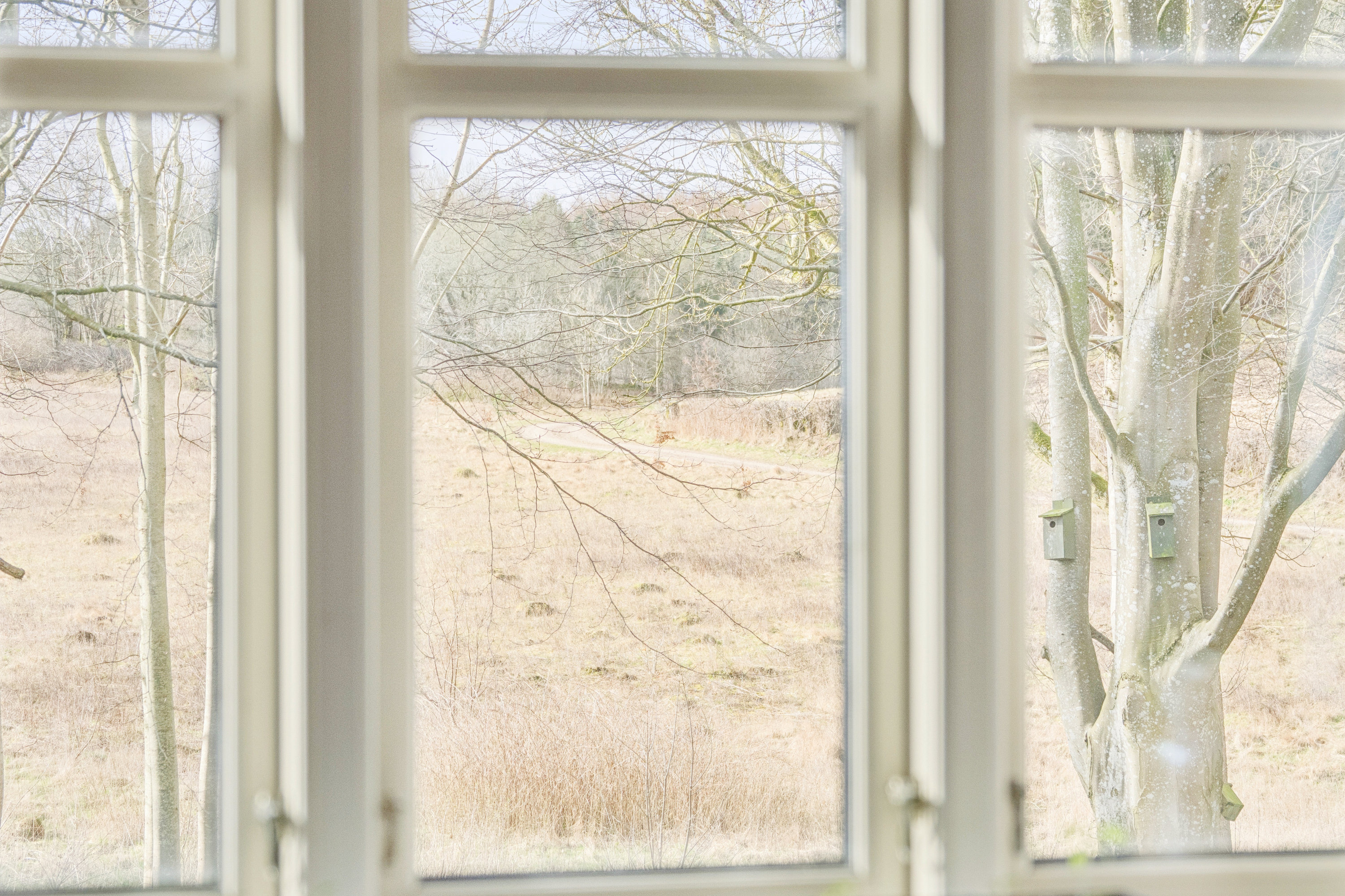 Fremhævet udsigt billede i fuldskærmstilstand. Billede af Rolighedsvej 5, Vroue, 7800 Skive