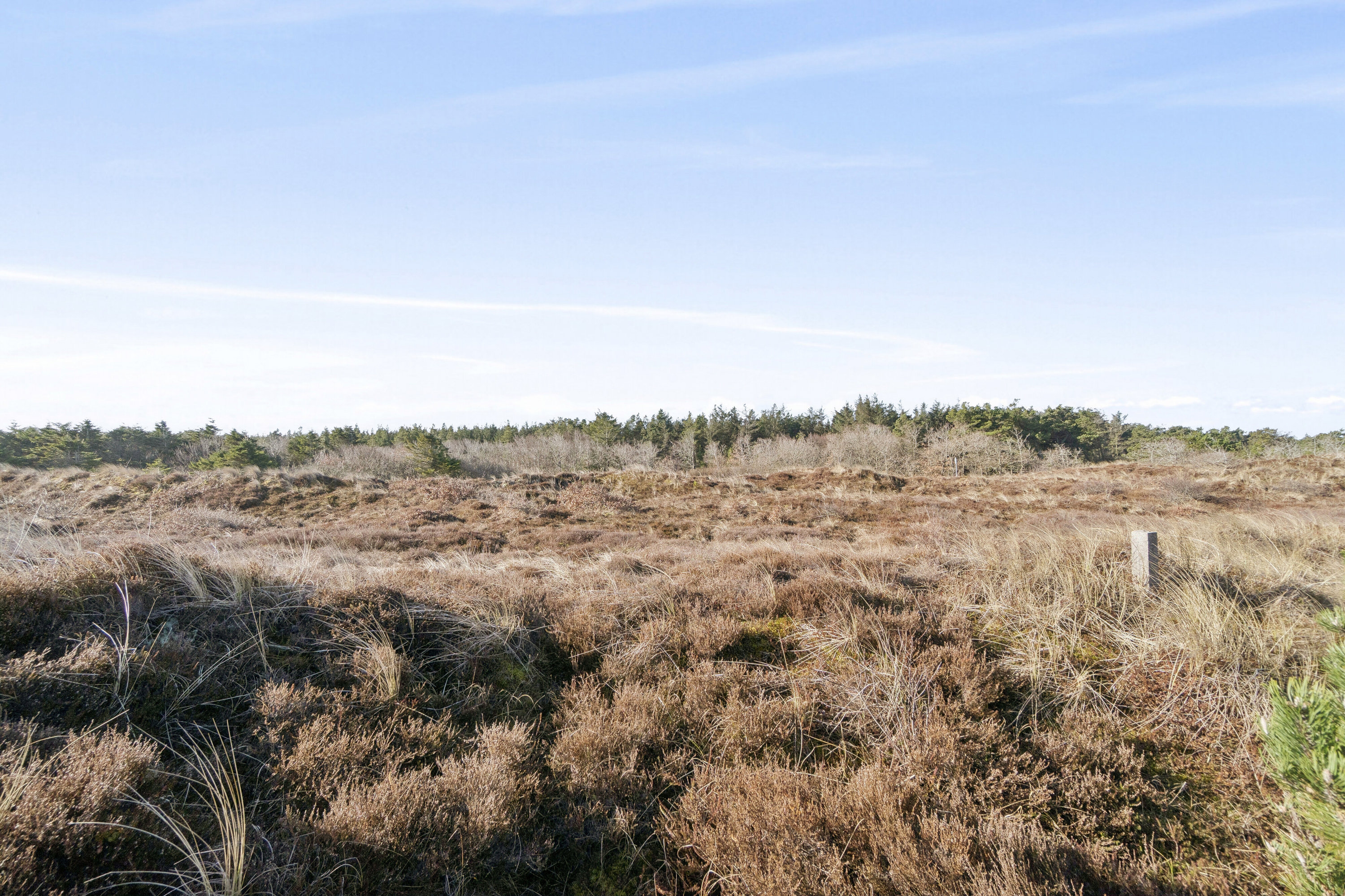 Fremhævet udendørs billede i fuldskærmstilstand. Billede af Strandvejen 58, Lild Strand, 7741 Frøstrup
