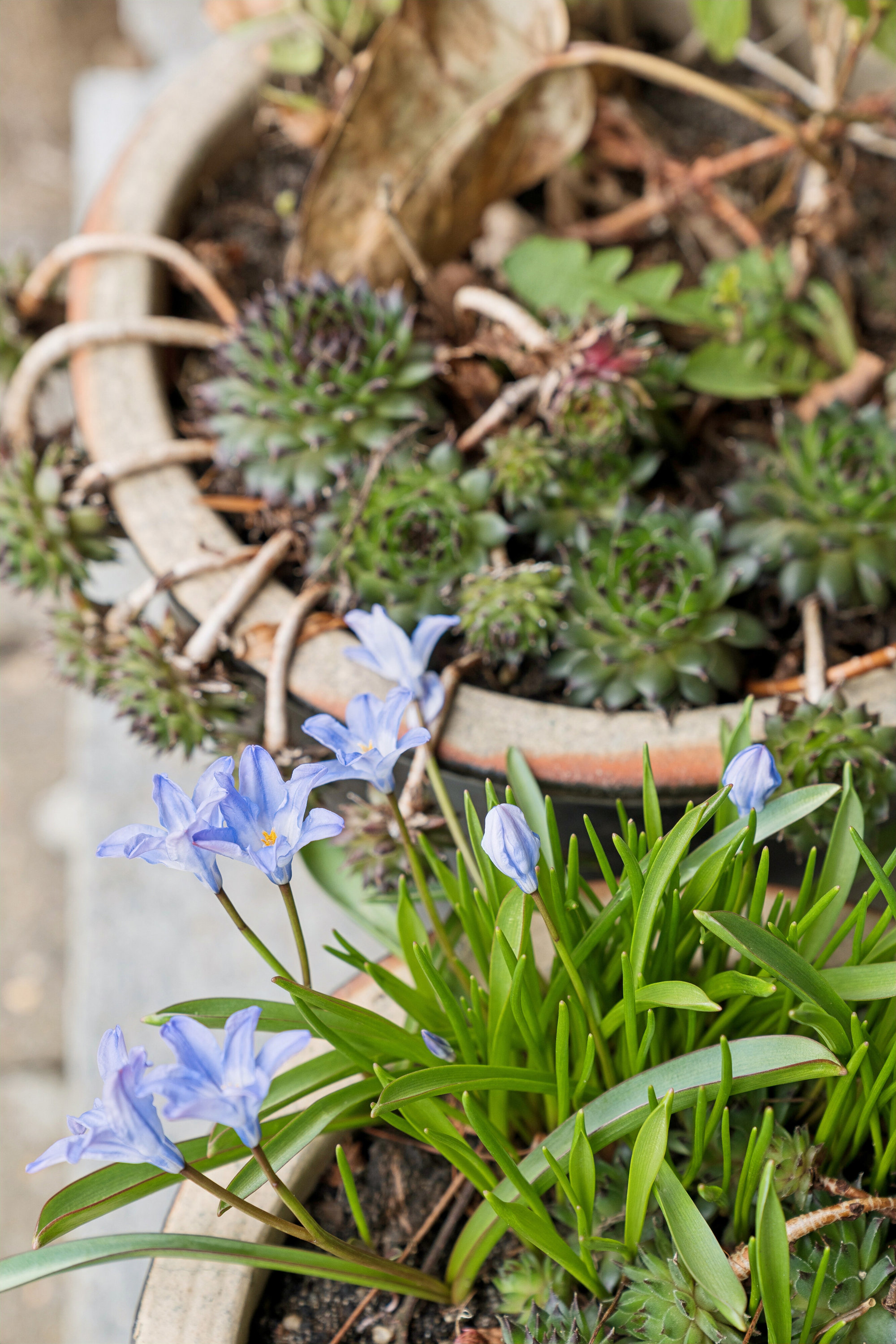 Fremhævet udendørs billede i fuldskærmstilstand. Billede af Højene 1, 7250 Hejnsvig