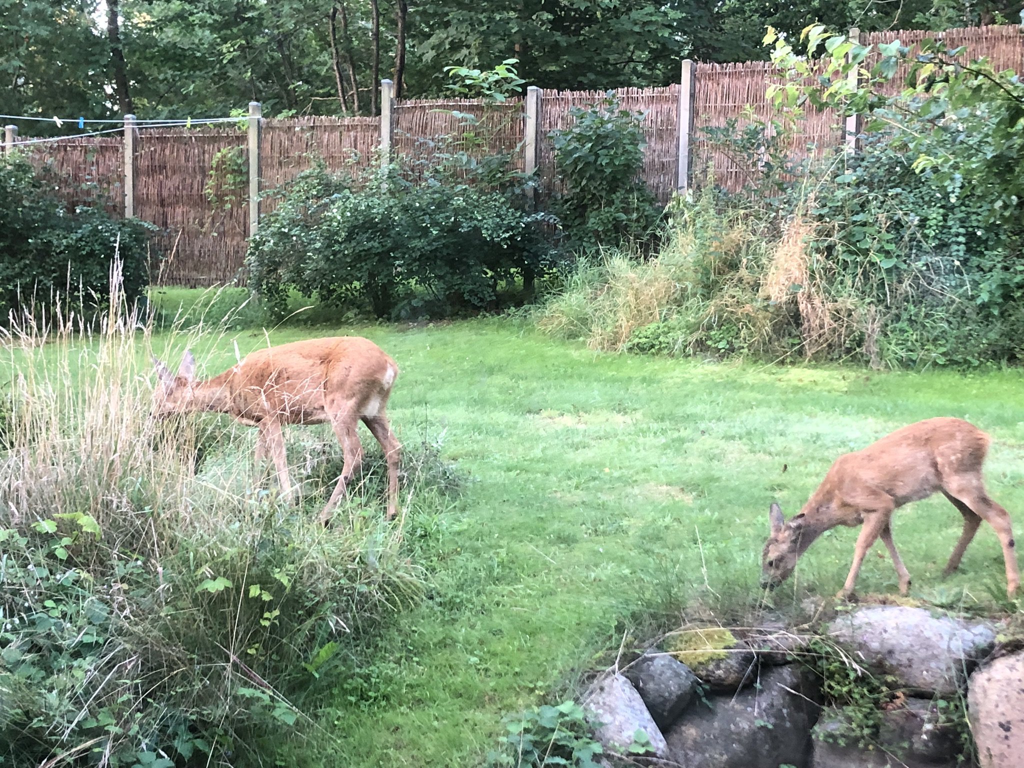 Fremhævet  billede i fuldskærmstilstand. Billede af Ternevej 12, Nyrup, 4500 Nykøbing Sj