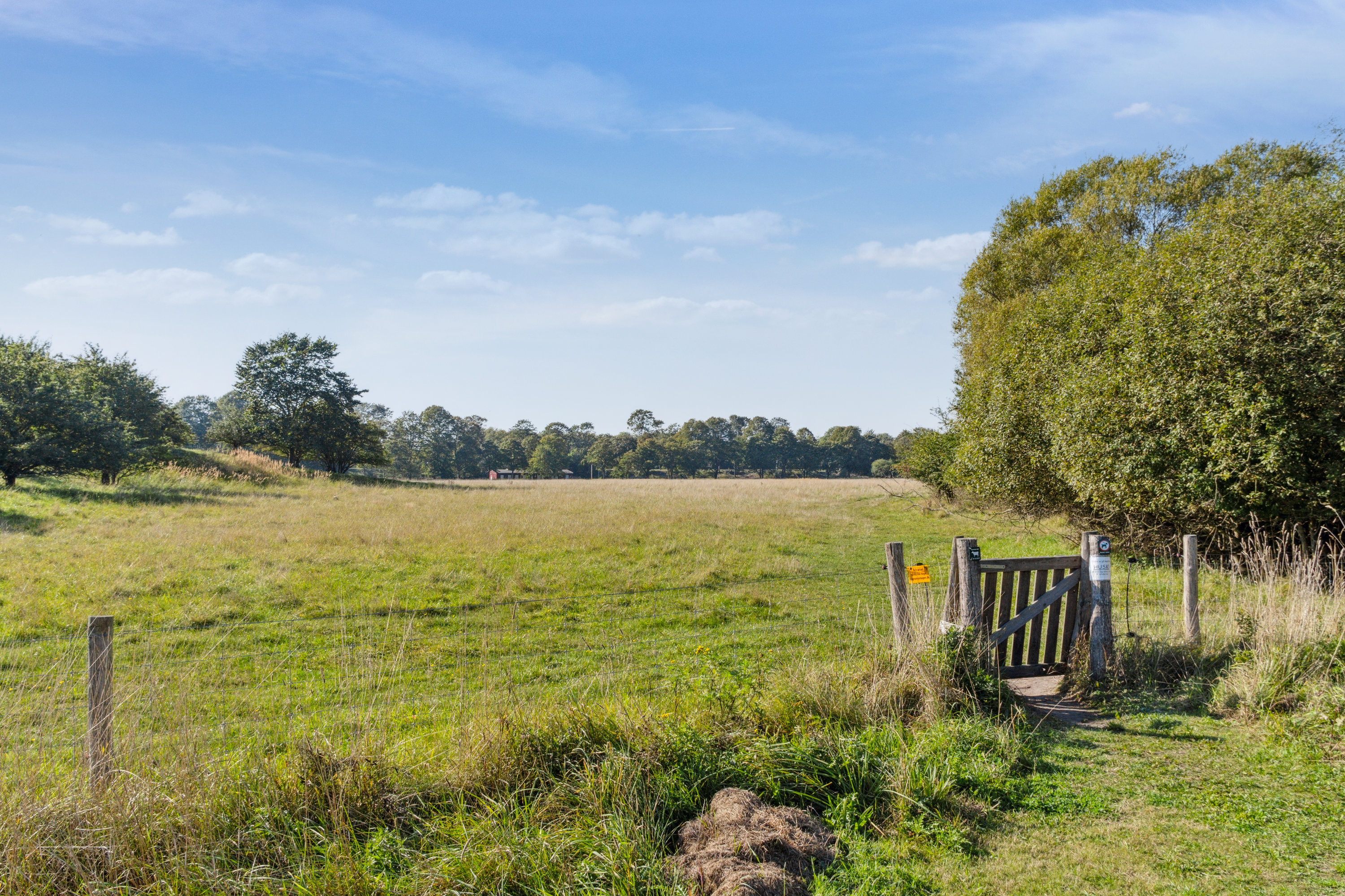 Fremhævet område billede i fuldskærmstilstand. Billede af Mågevej 7B, 2650 Hvidovre