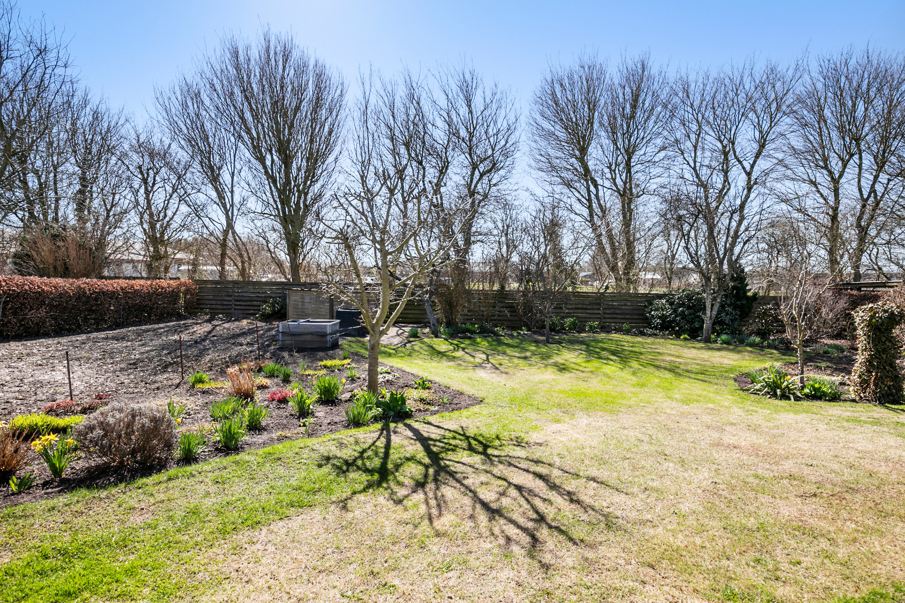 Fremhævet have billede i fuldskærmstilstand. Billede af Pontoppidansgade 12, 9700 Brønderslev