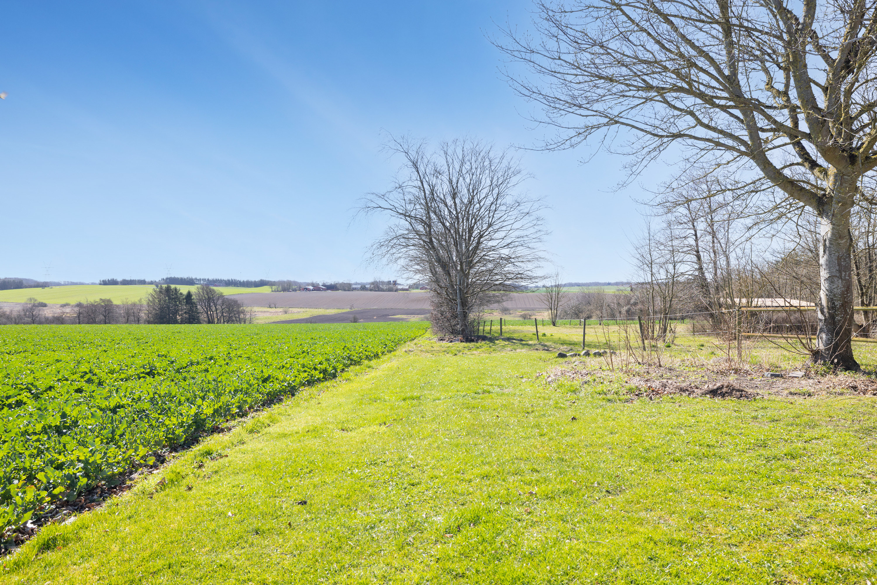 Fremhævet udendørs billede i fuldskærmstilstand. Billede af Balskildevej 10, Ballen, 8355 Solbjerg
