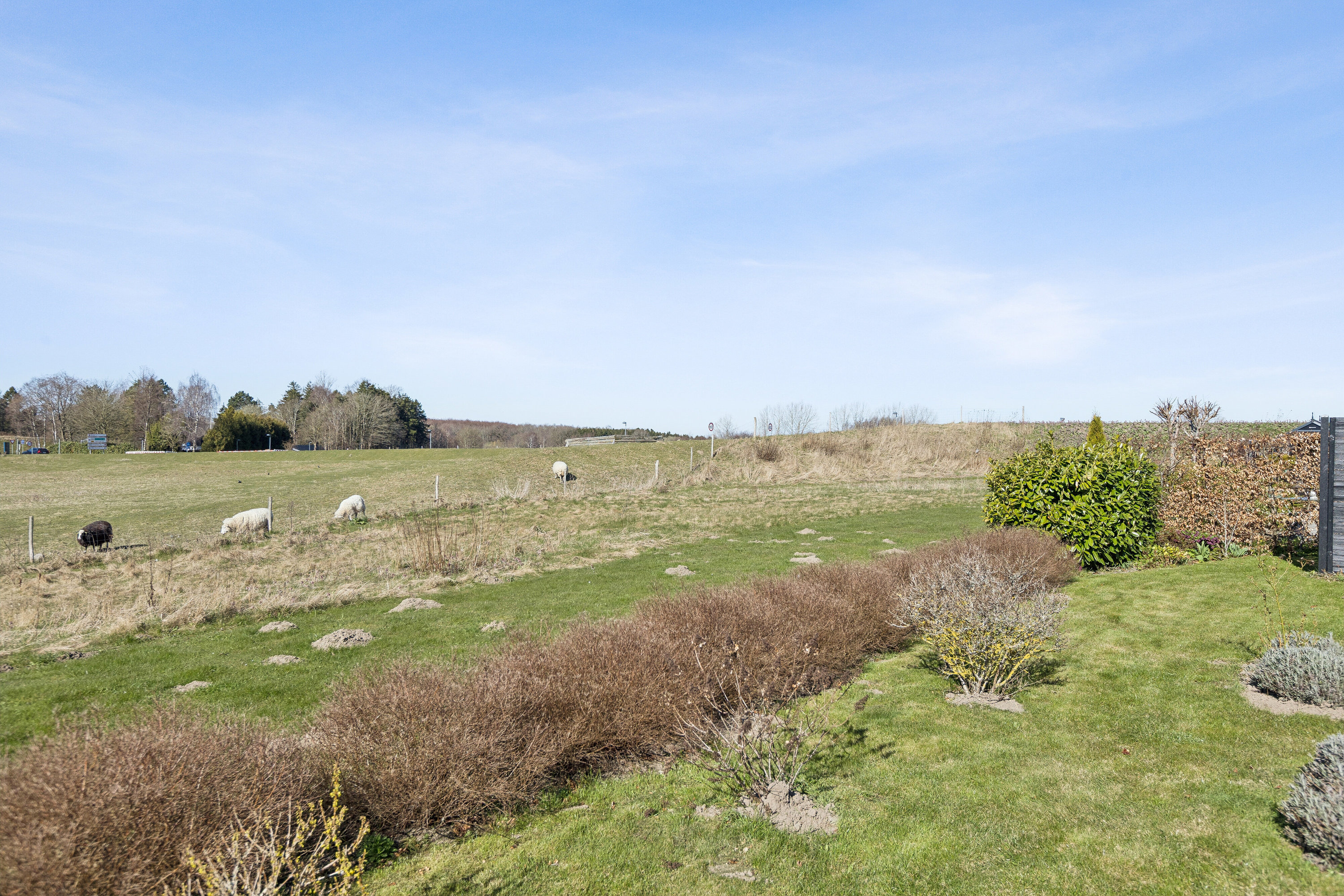 Fremhævet set fra haven billede i fuldskærmstilstand. Billede af Jens Martin Knudsens Vej 22, 4690 Haslev