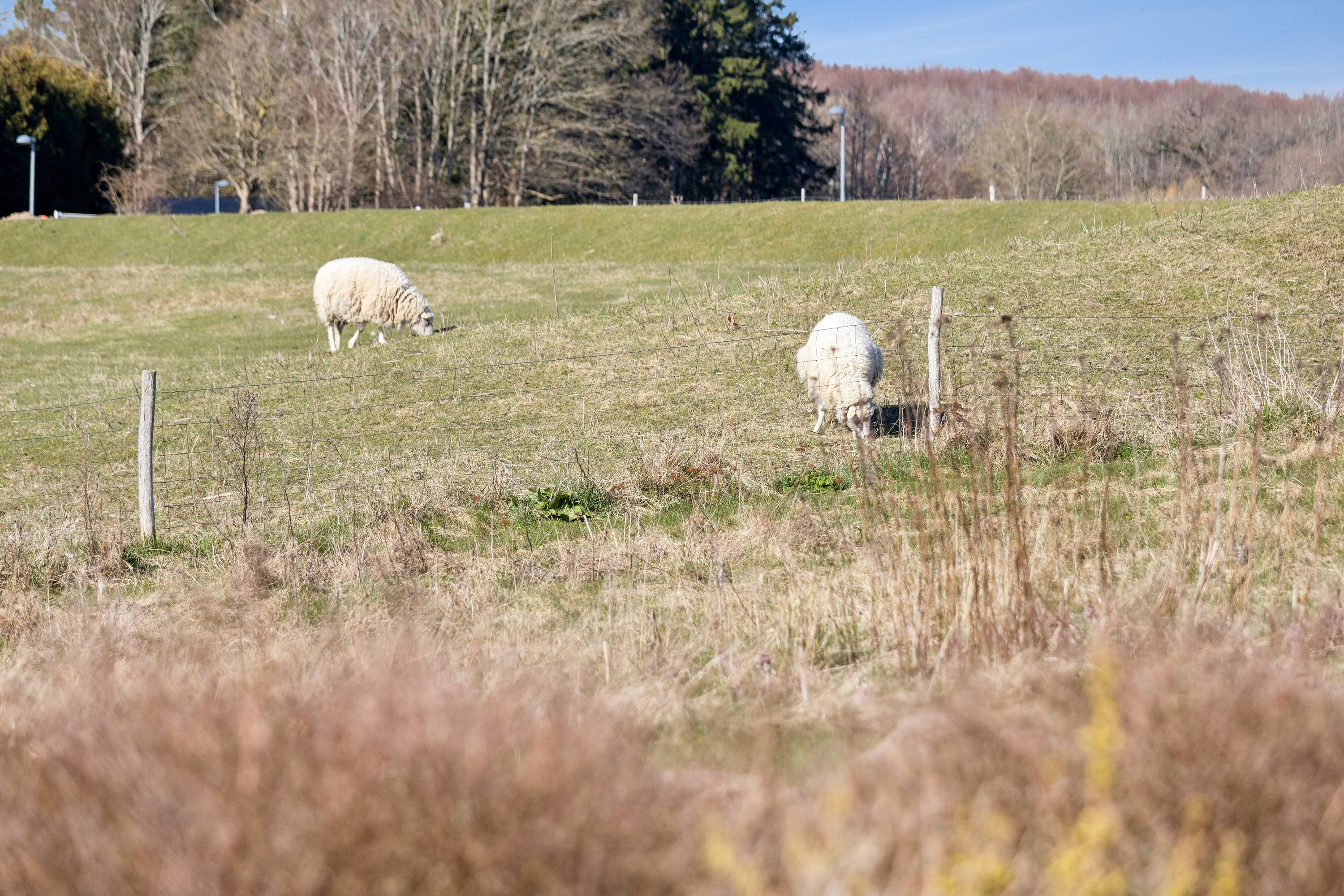 Jens Martin Knudsens Vej 22, 4690 Haslev