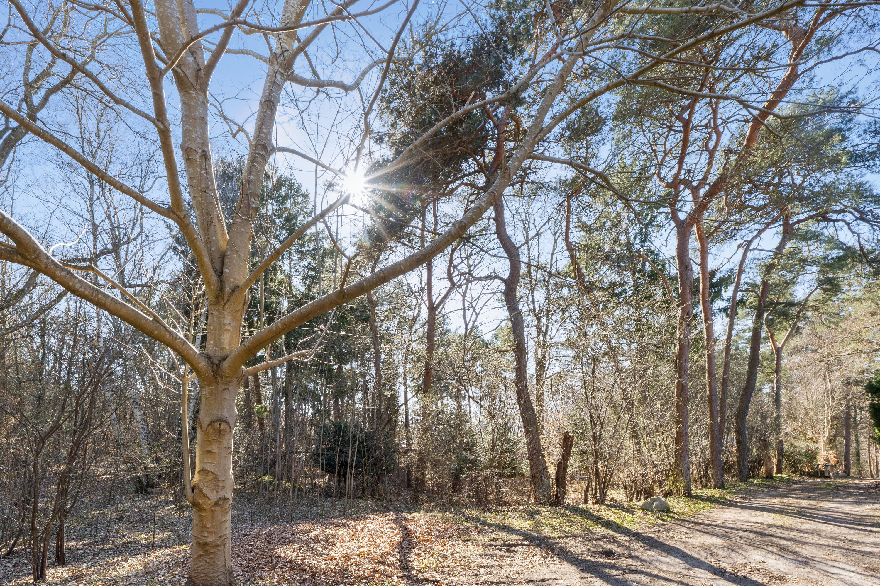 Fremhævet udendørs billede i fuldskærmstilstand. Billede af Hjortebjergvej 9, 3300 Frederiksværk