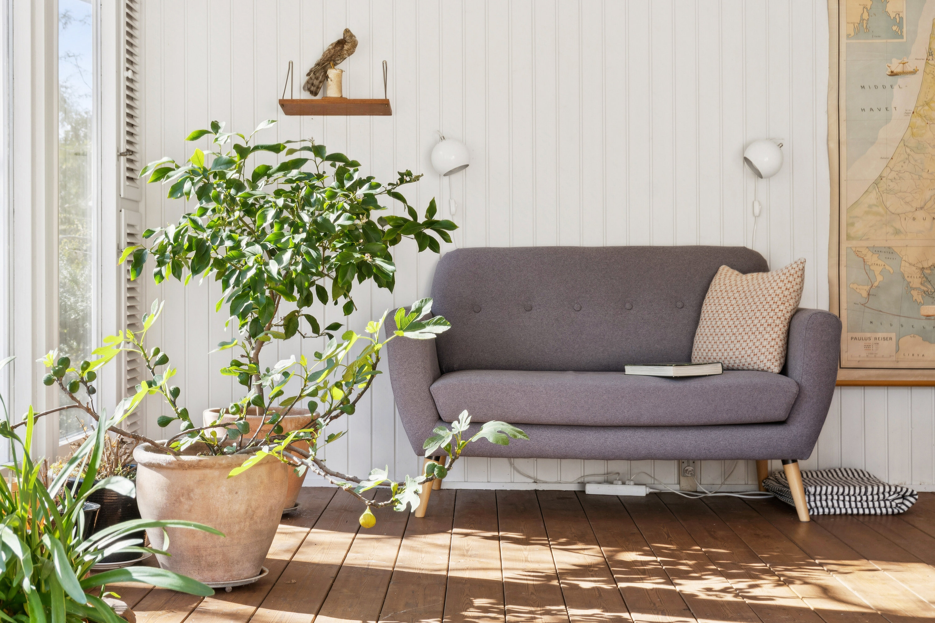 Fremhævet udestue billede i fuldskærmstilstand. Billede af Hjortebjergvej 9, 3300 Frederiksværk