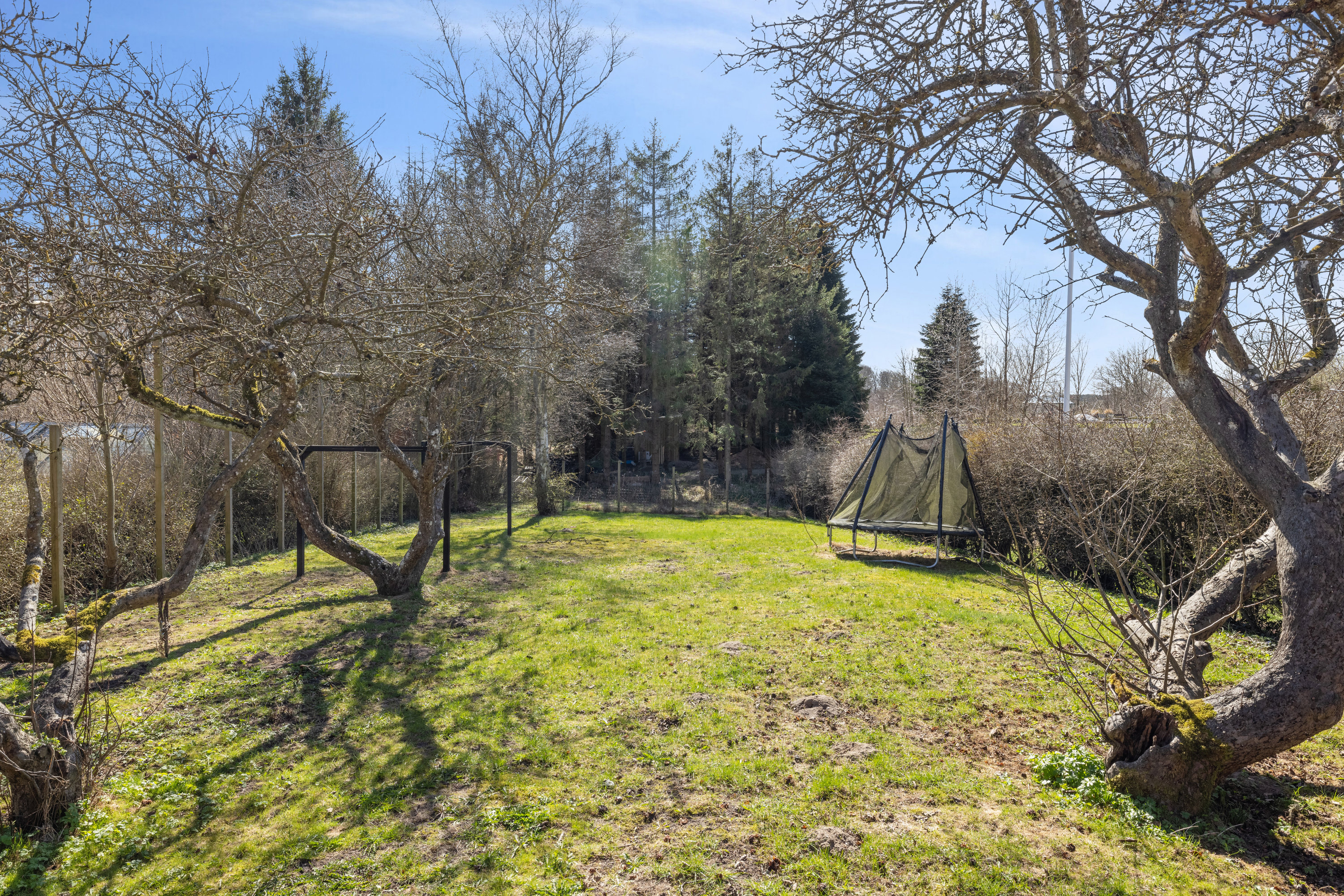 Fremhævet have billede i fuldskærmstilstand. Billede af Skovvej 52, 8550 Ryomgård