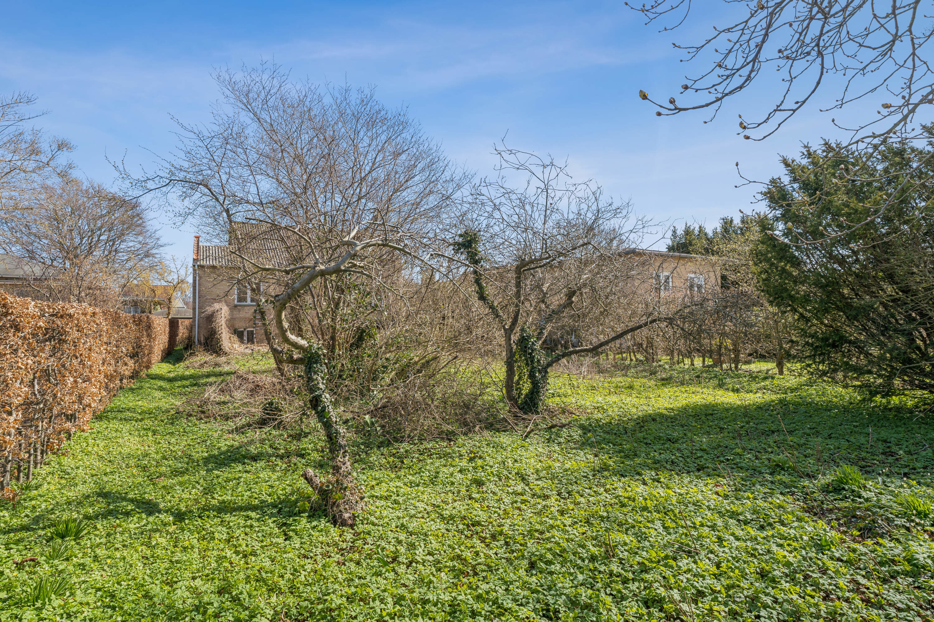 Fremhævet grund billede i fuldskærmstilstand. Billede af Dianavej 5, Hasseris, 9000 Aalborg