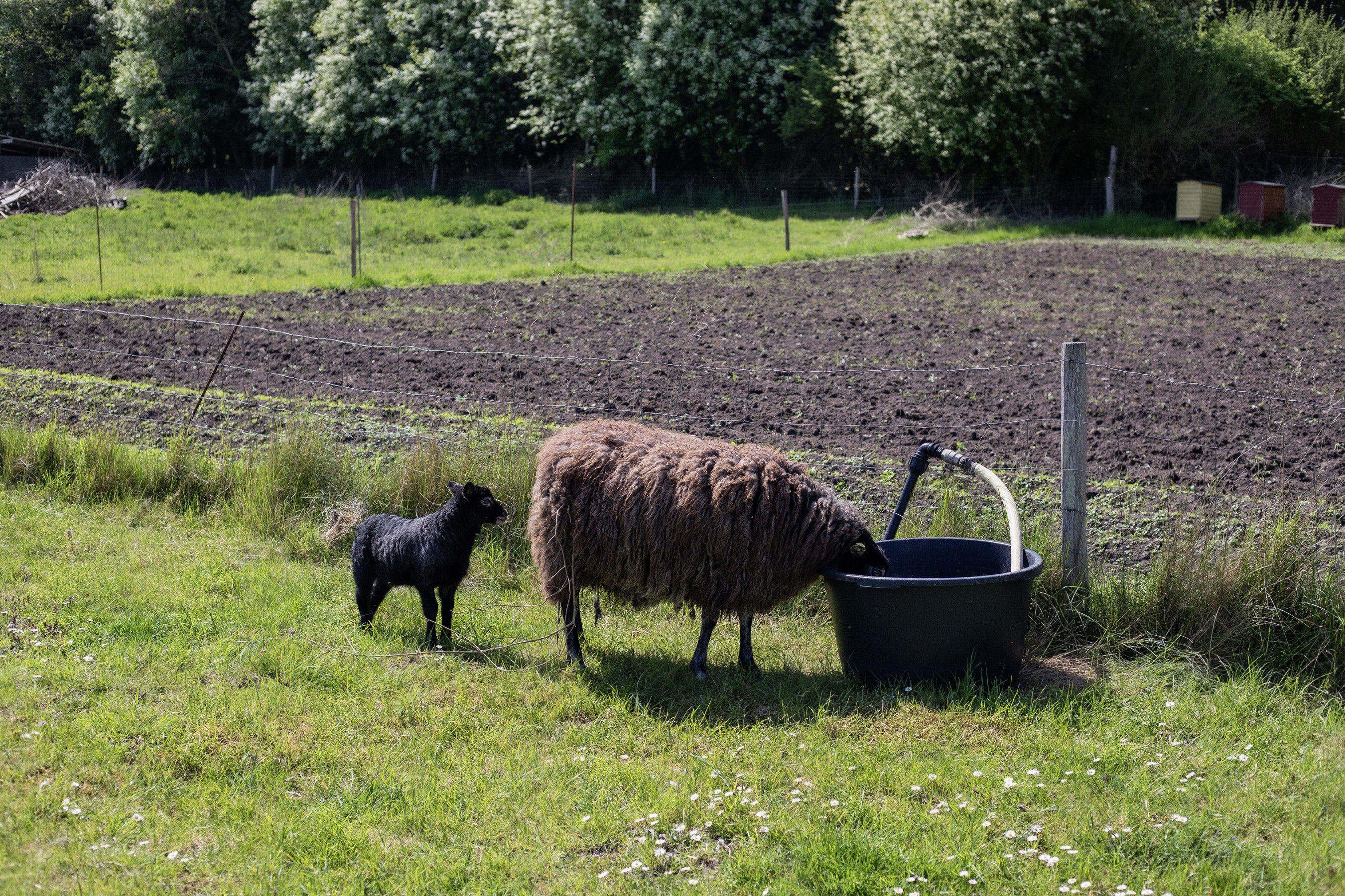 Fremhævet ejendommen billede i fuldskærmstilstand. Billede af Søbo 13, Bildsø, 4200 Slagelse