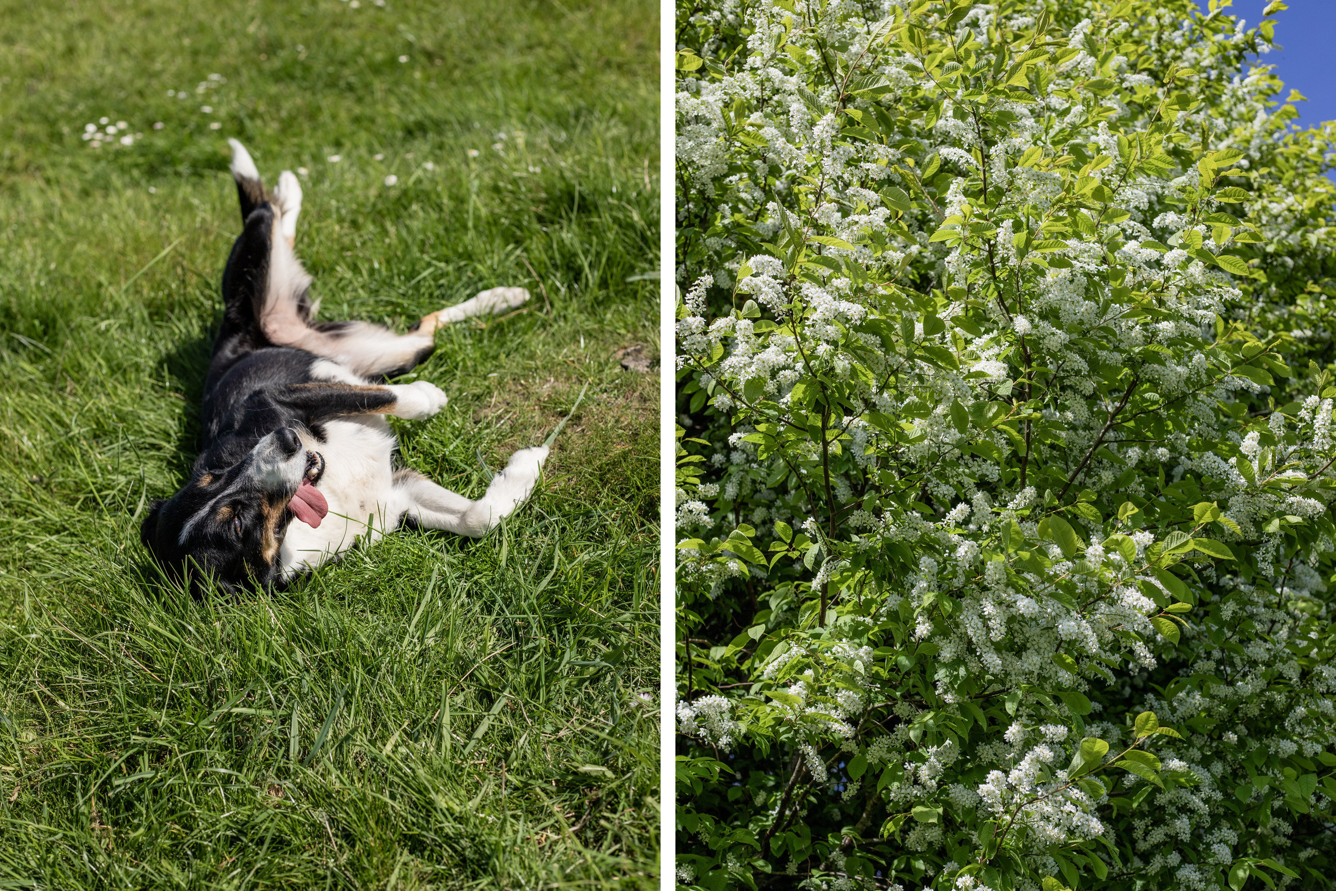 Fremhævet ejendommen billede i fuldskærmstilstand. Billede af Søbo 13, Bildsø, 4200 Slagelse