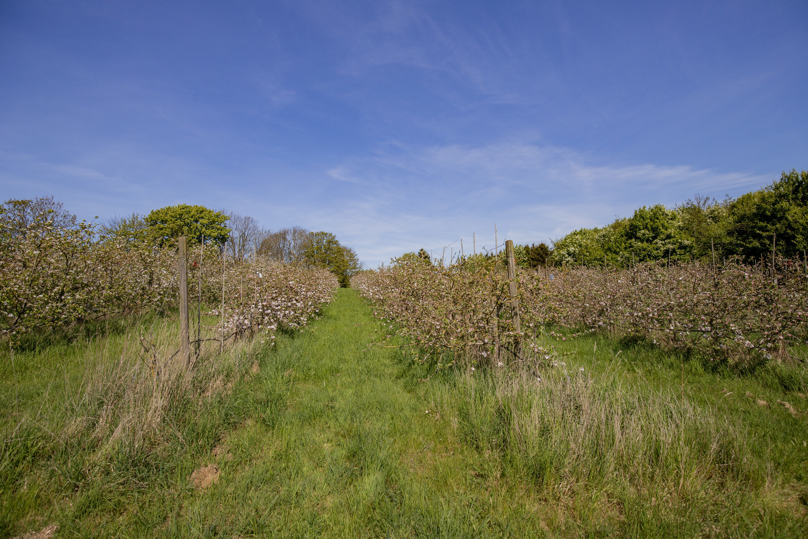 Fremhævet ejendommen billede i fuldskærmstilstand. Billede af Søbo 13, Bildsø, 4200 Slagelse
