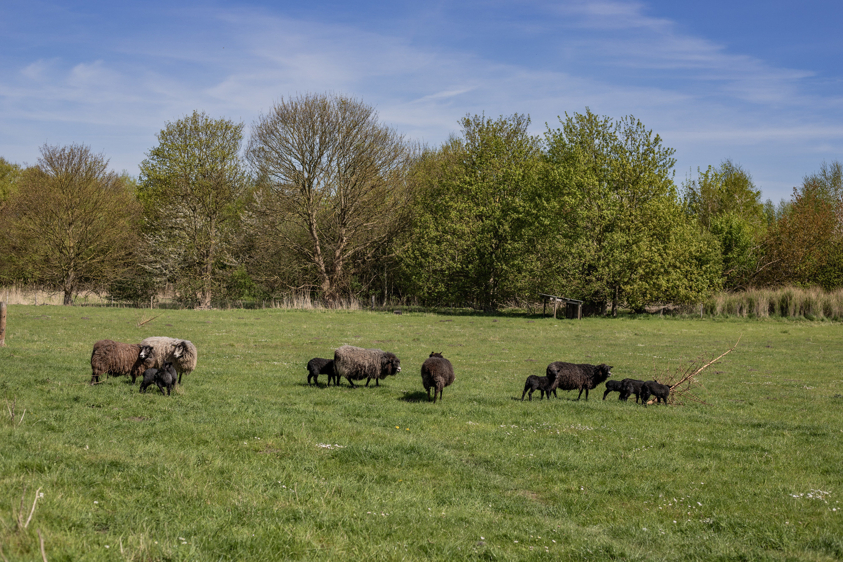 Fremhævet ejendommen billede i fuldskærmstilstand. Billede af Søbo 13, Bildsø, 4200 Slagelse