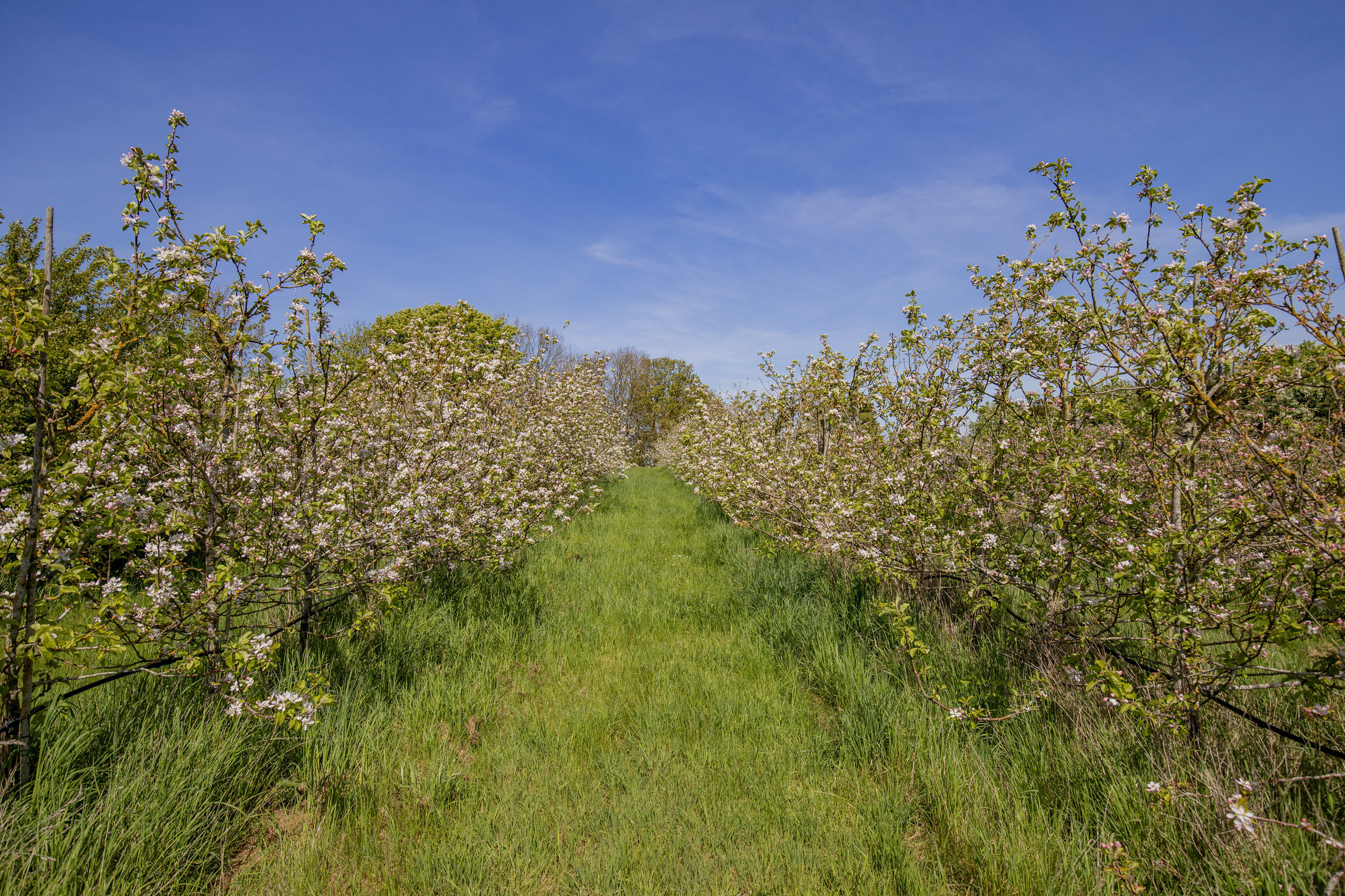 Fremhævet ejendommen billede i fuldskærmstilstand. Billede af Søbo 13, Bildsø, 4200 Slagelse