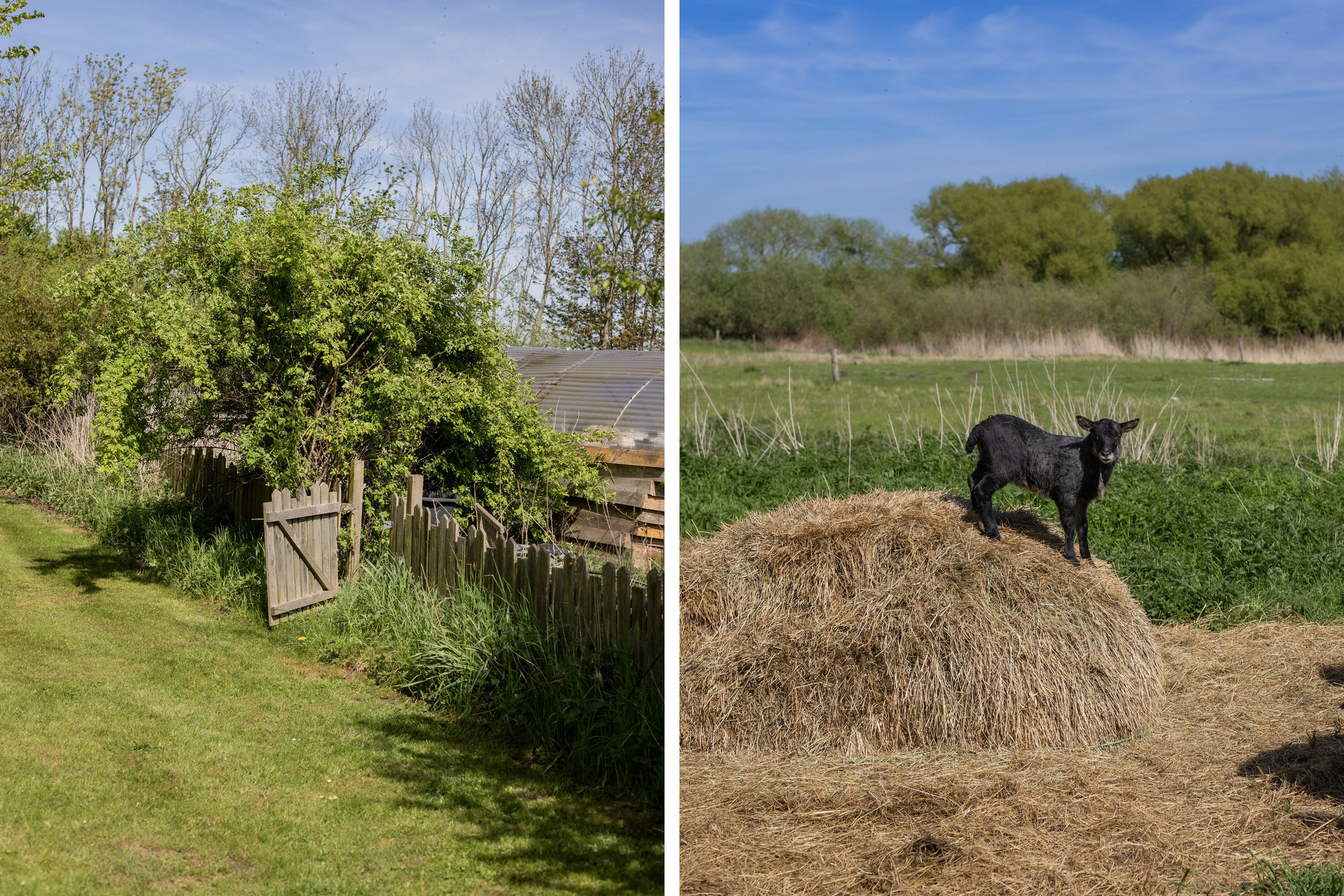 Fremhævet ejendommen billede i fuldskærmstilstand. Billede af Søbo 13, Bildsø, 4200 Slagelse