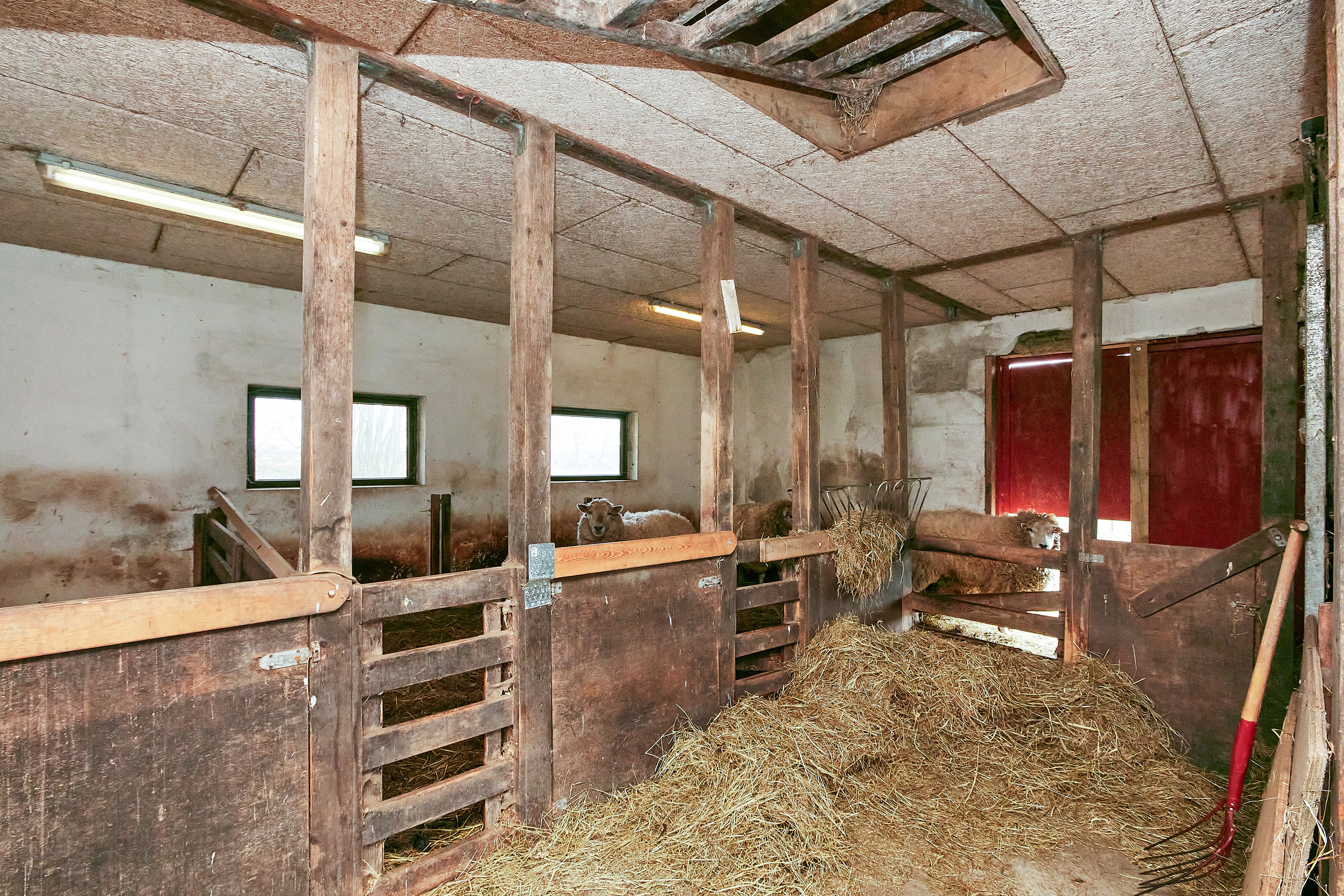 Fremhævet andet billede i fuldskærmstilstand. Billede af Gammelstrupvej 39, Gammelstrup, 8740 Brædstrup